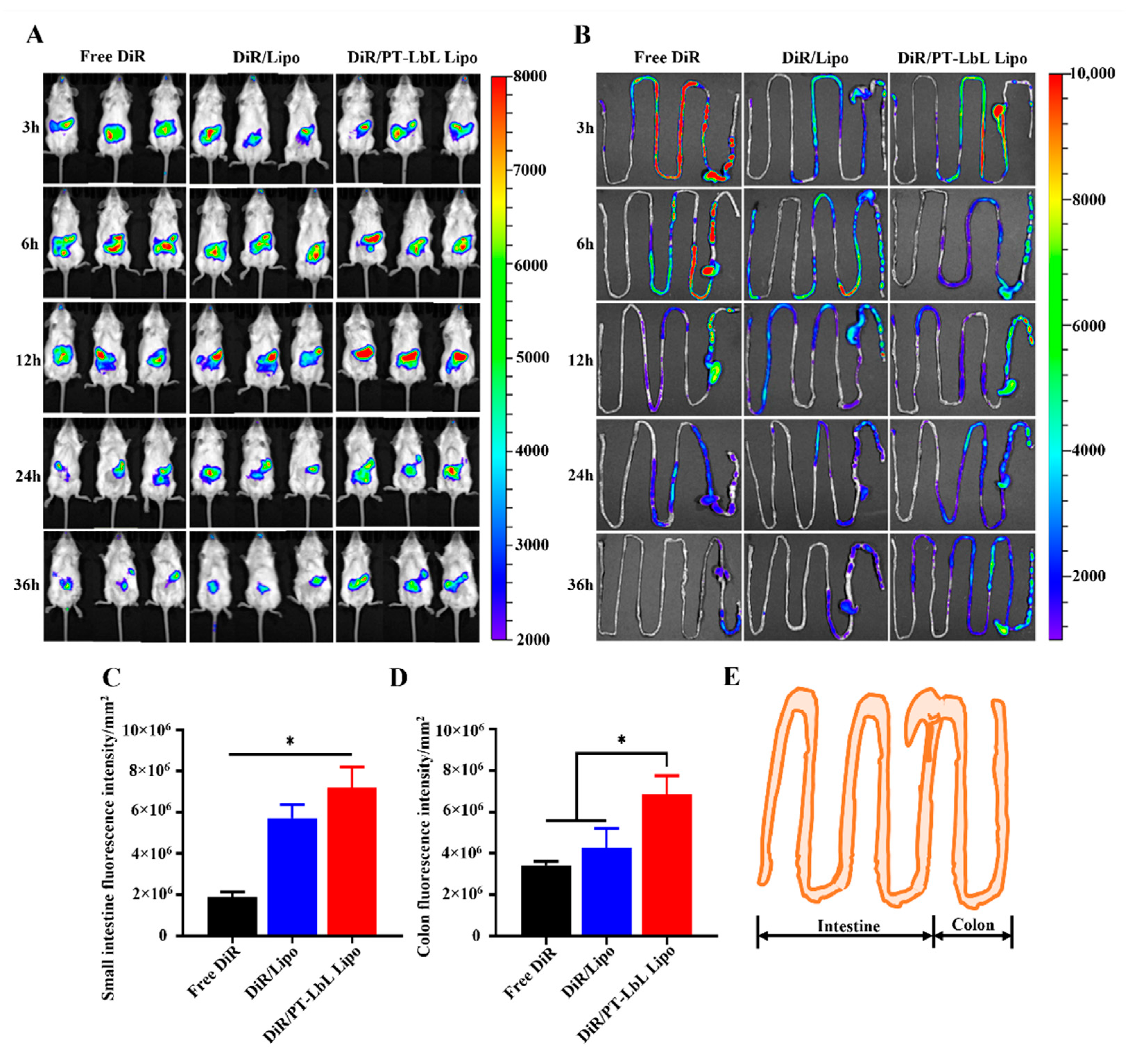 Pharmaceutics 13 02005 g005