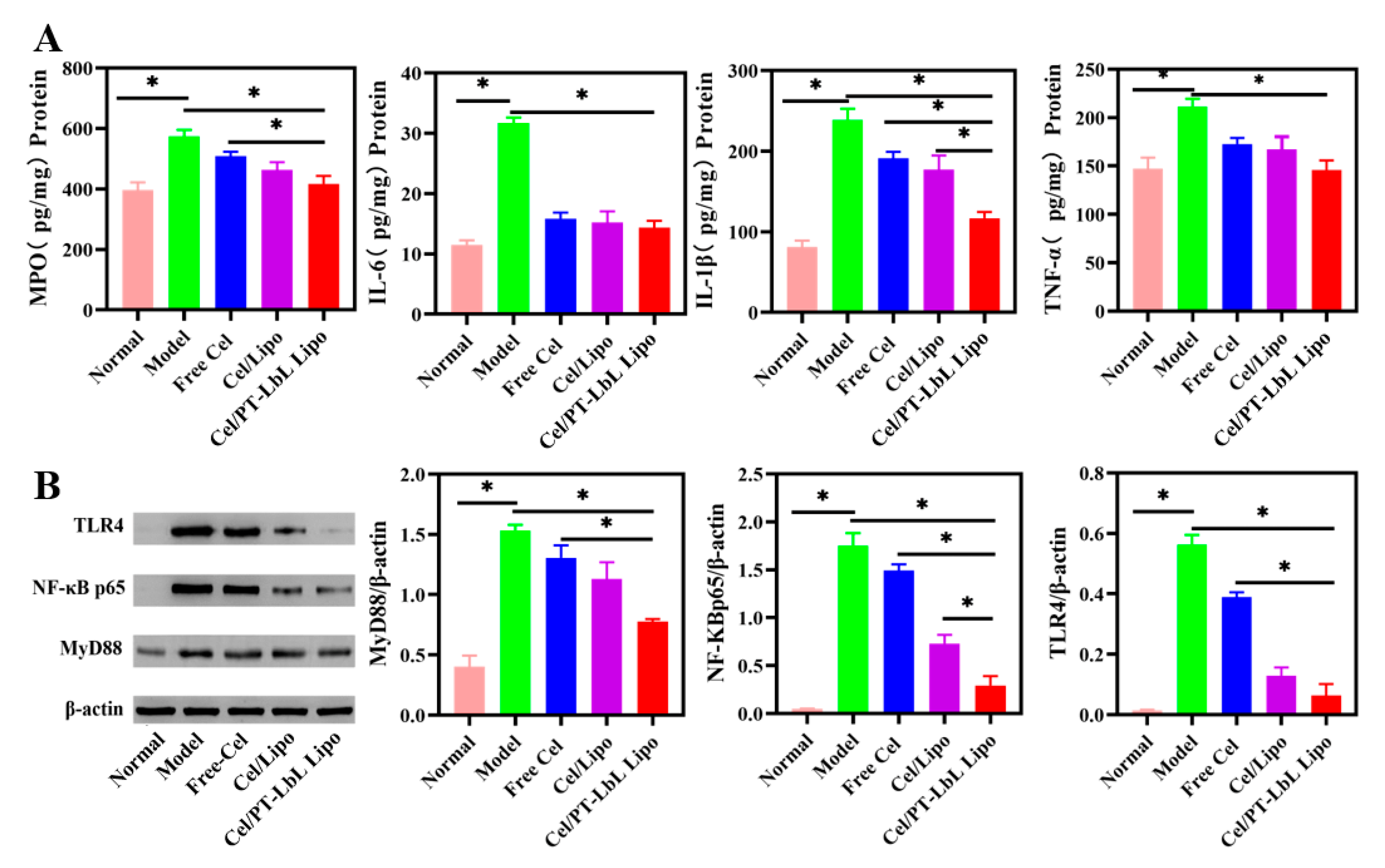 Pharmaceutics 13 02005 g007