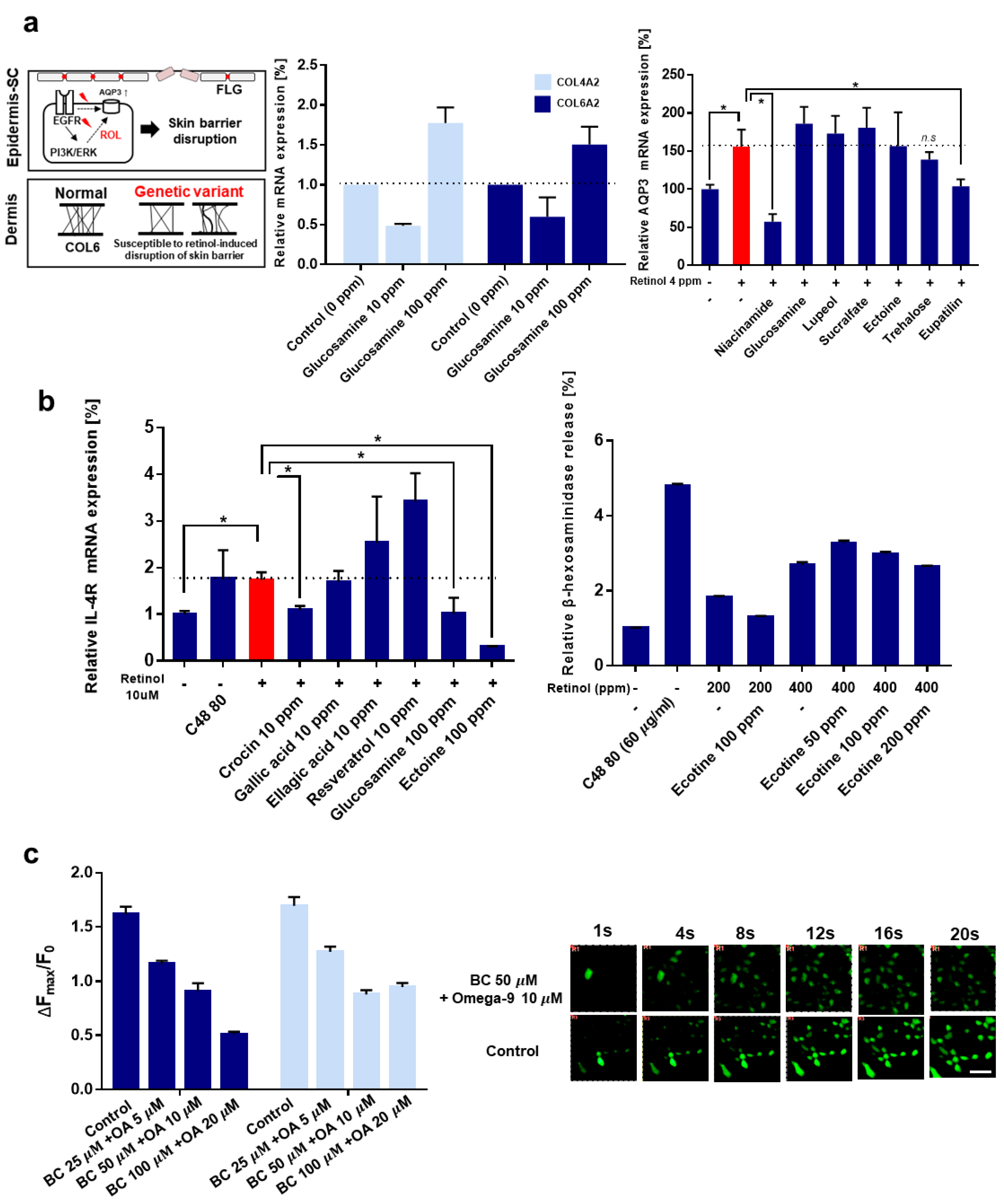 Pharmaceutics 13 02006 g003
