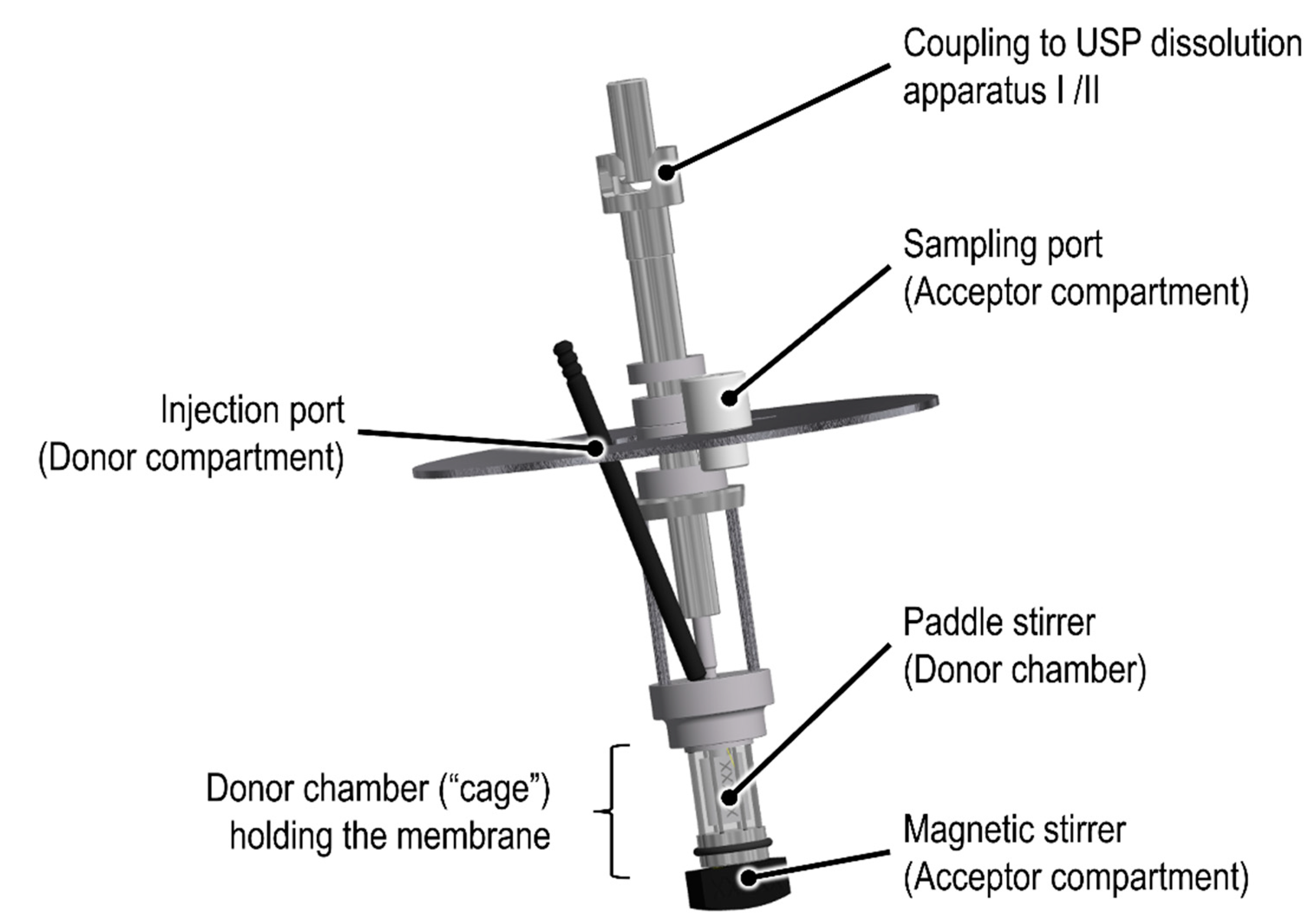 Pharmaceutics 13 02007 g001