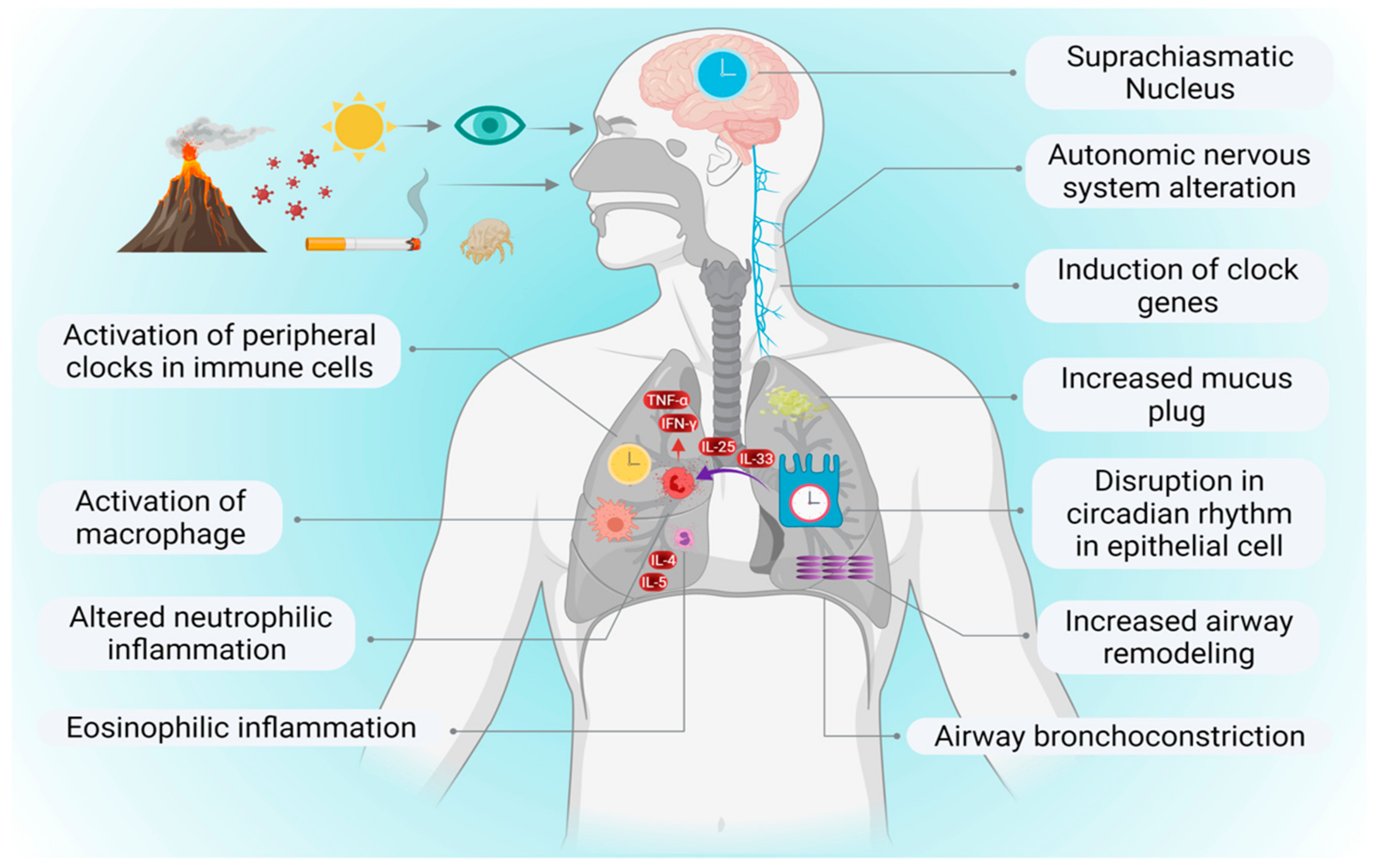 Pharmaceutics 13 02008 g002