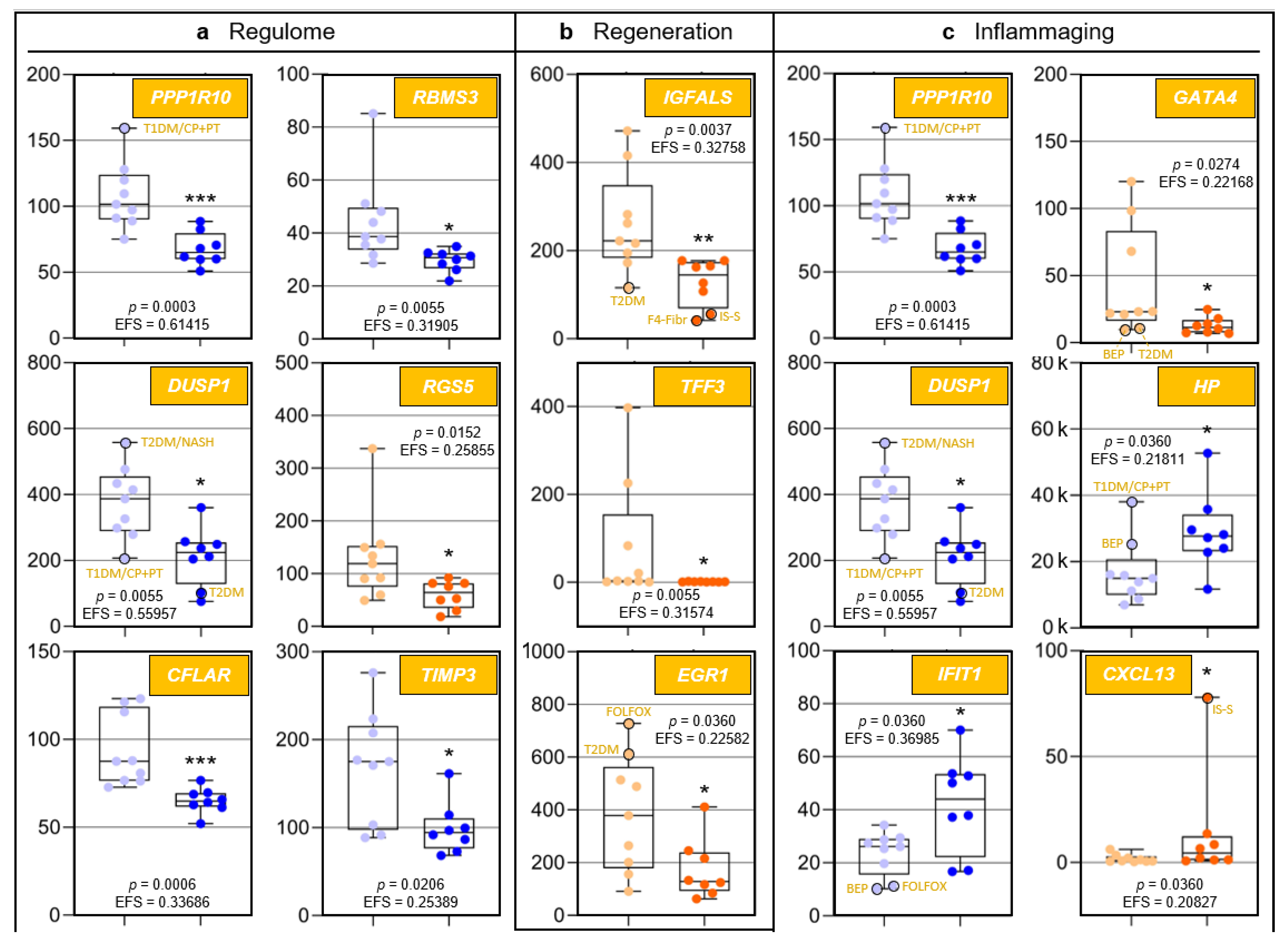 Pharmaceutics 13 02009 g002a