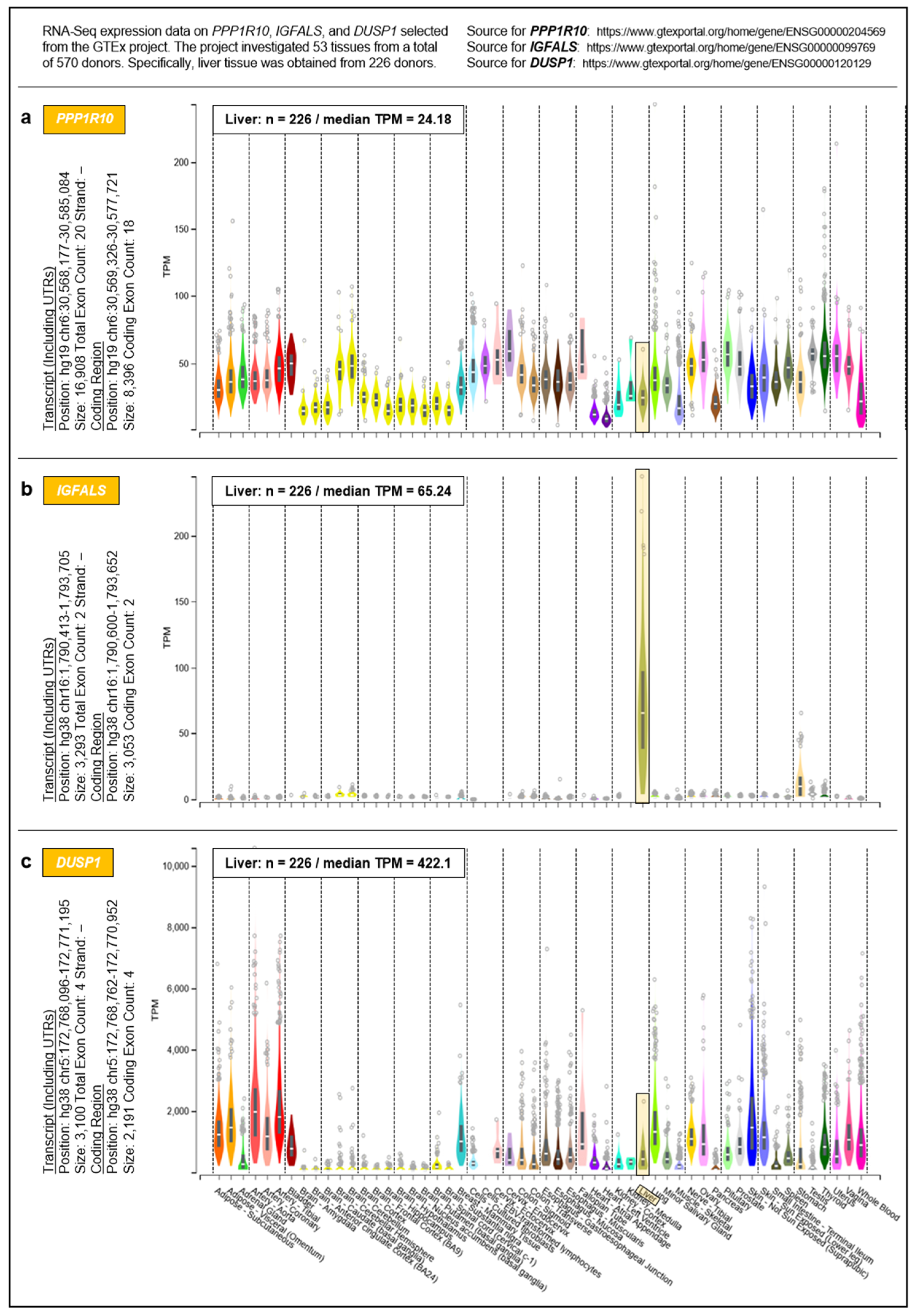 Pharmaceutics 13 02009 g005