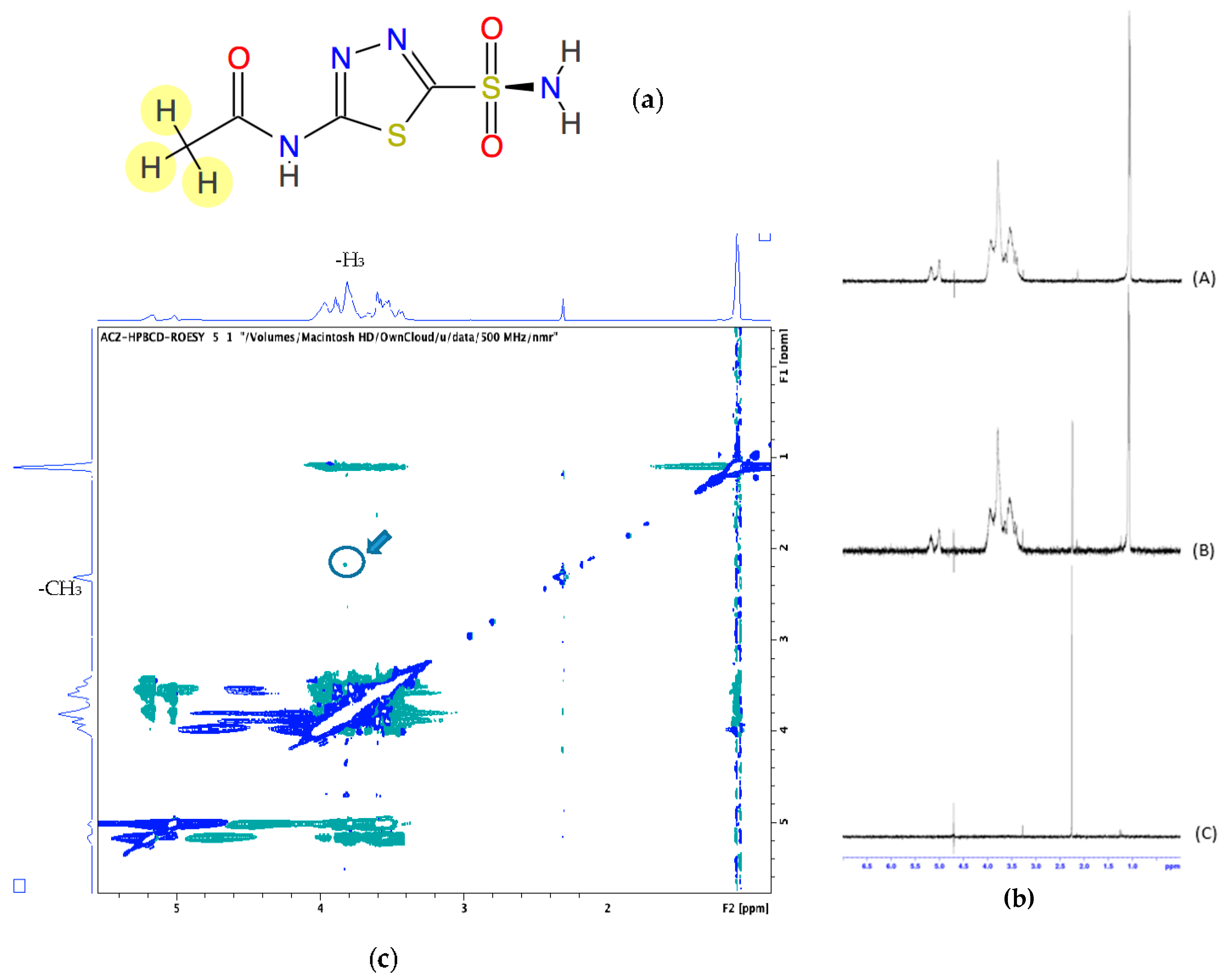 Pharmaceutics 13 02010 g002