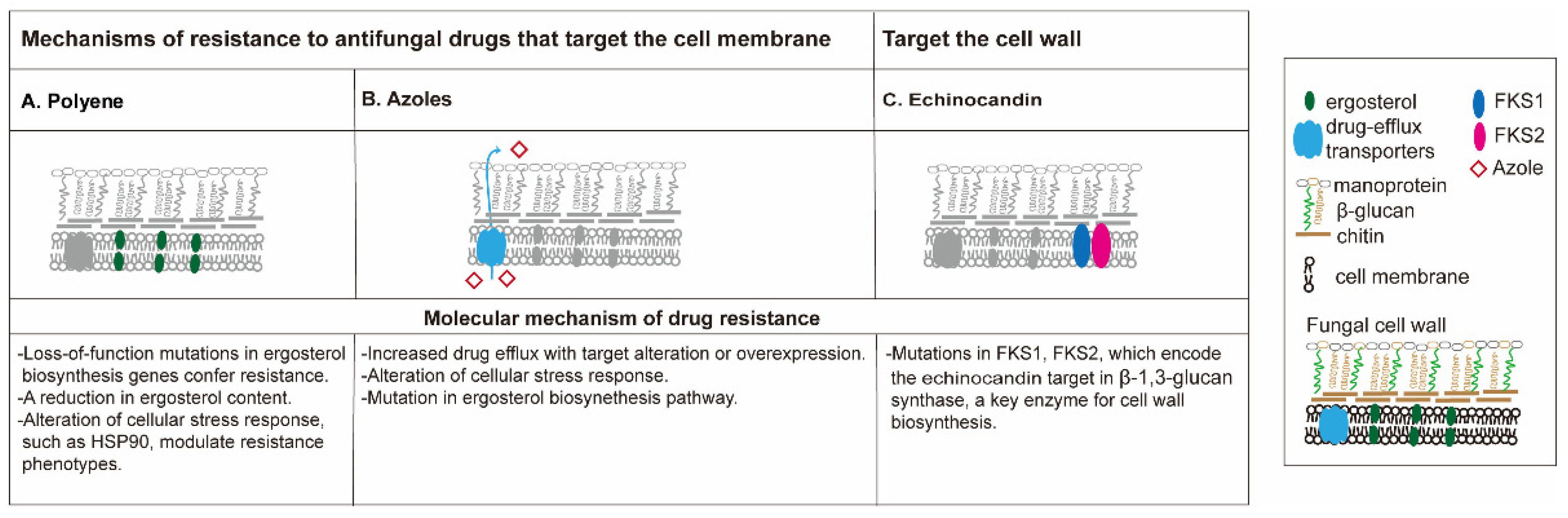 Pharmaceutics 13 02011 g001 Pharmaceutics 13 02011 g001