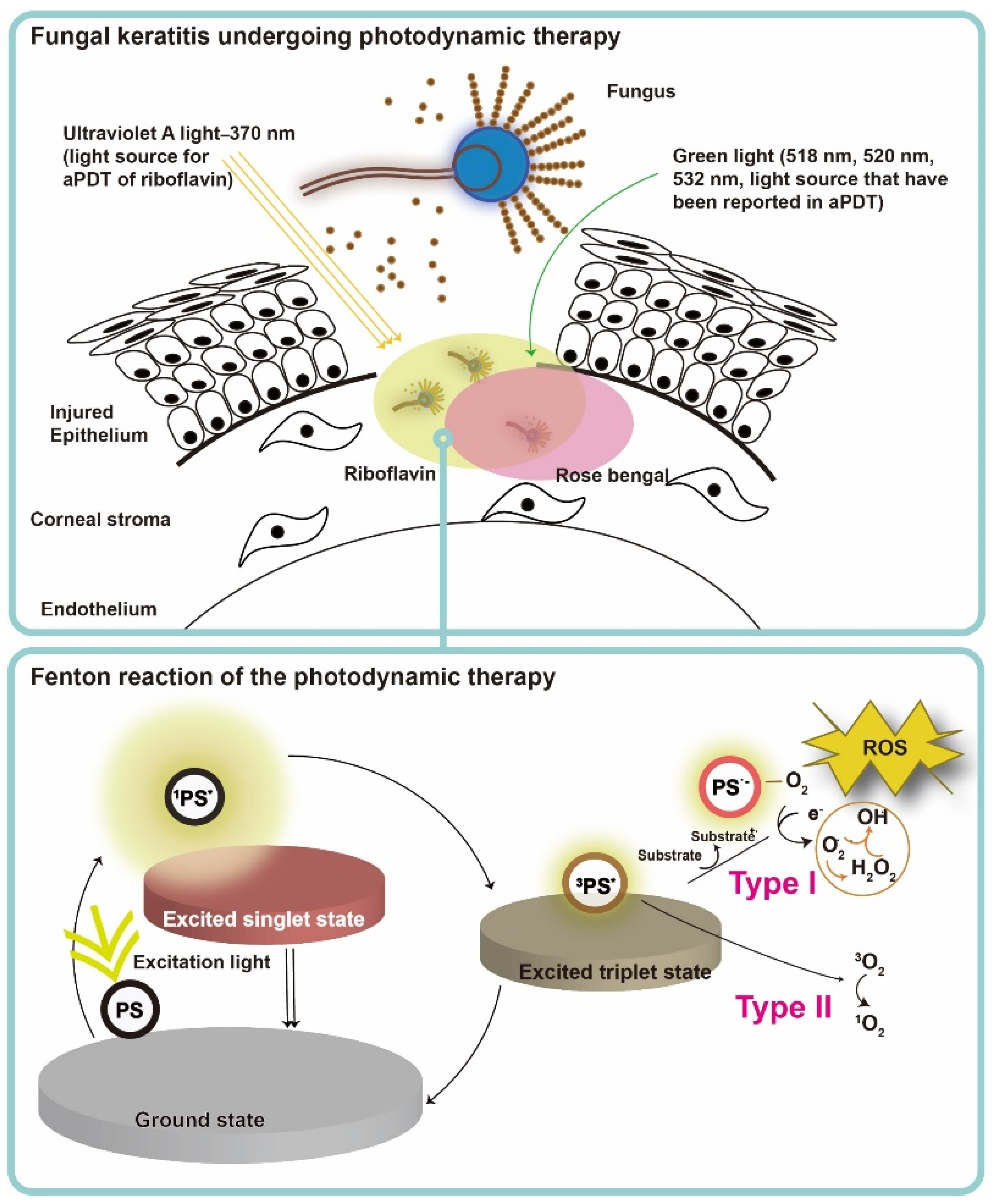 Pharmaceutics 13 02011 g003 Pharmaceutics 13 02011 g003