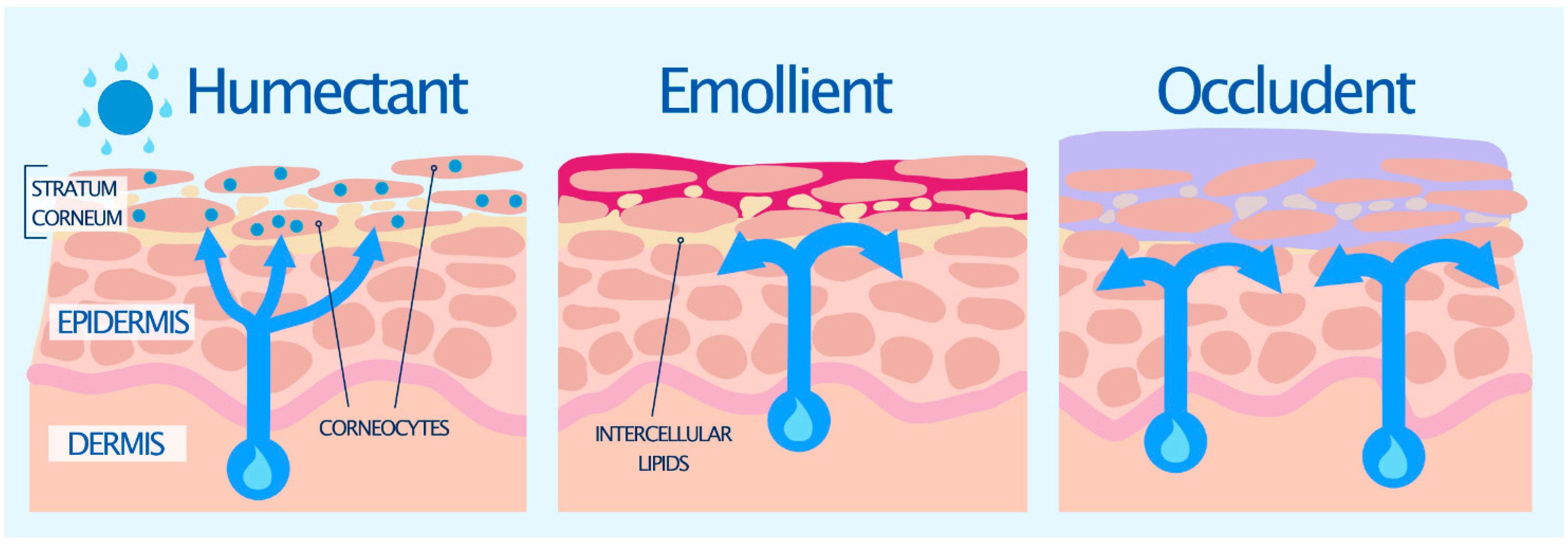 Pharmaceutics 13 02012 g002