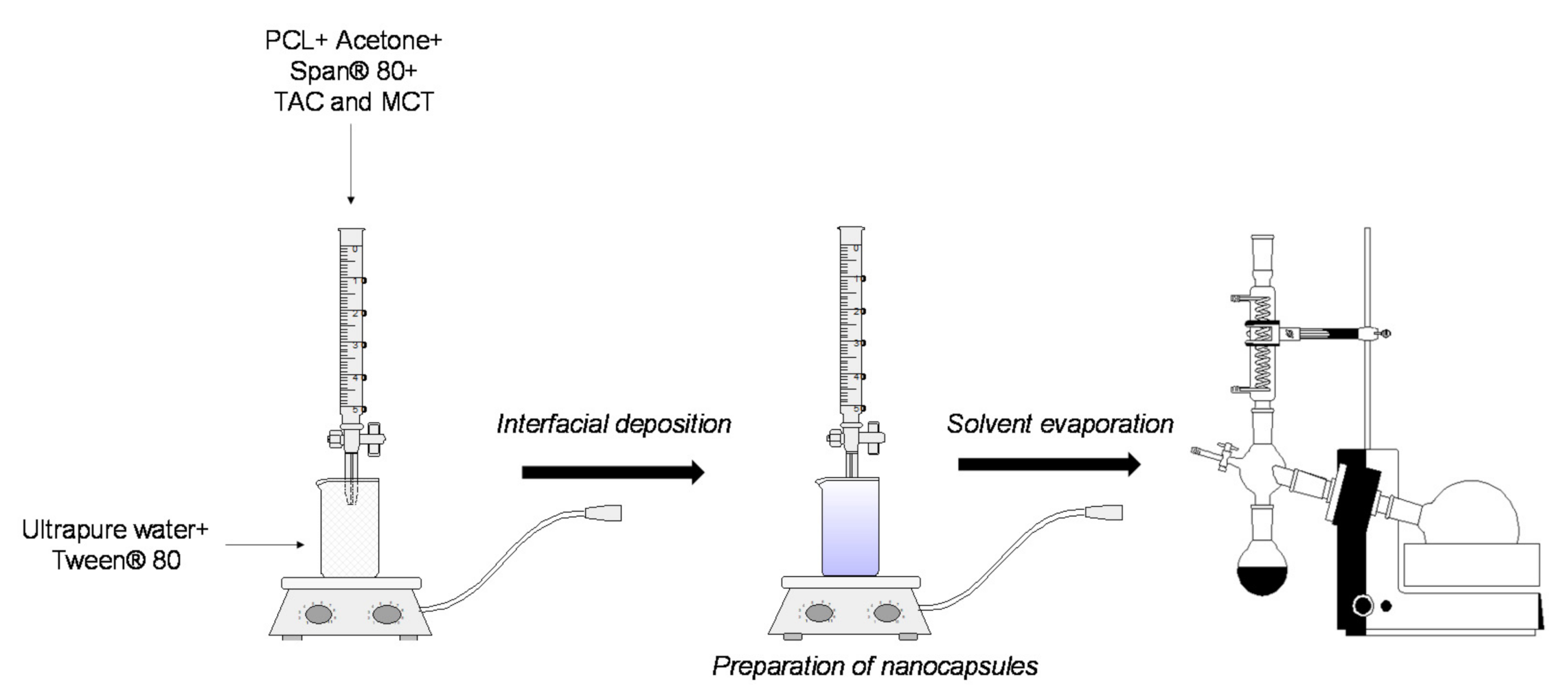 Pharmaceutics 13 02013 g001