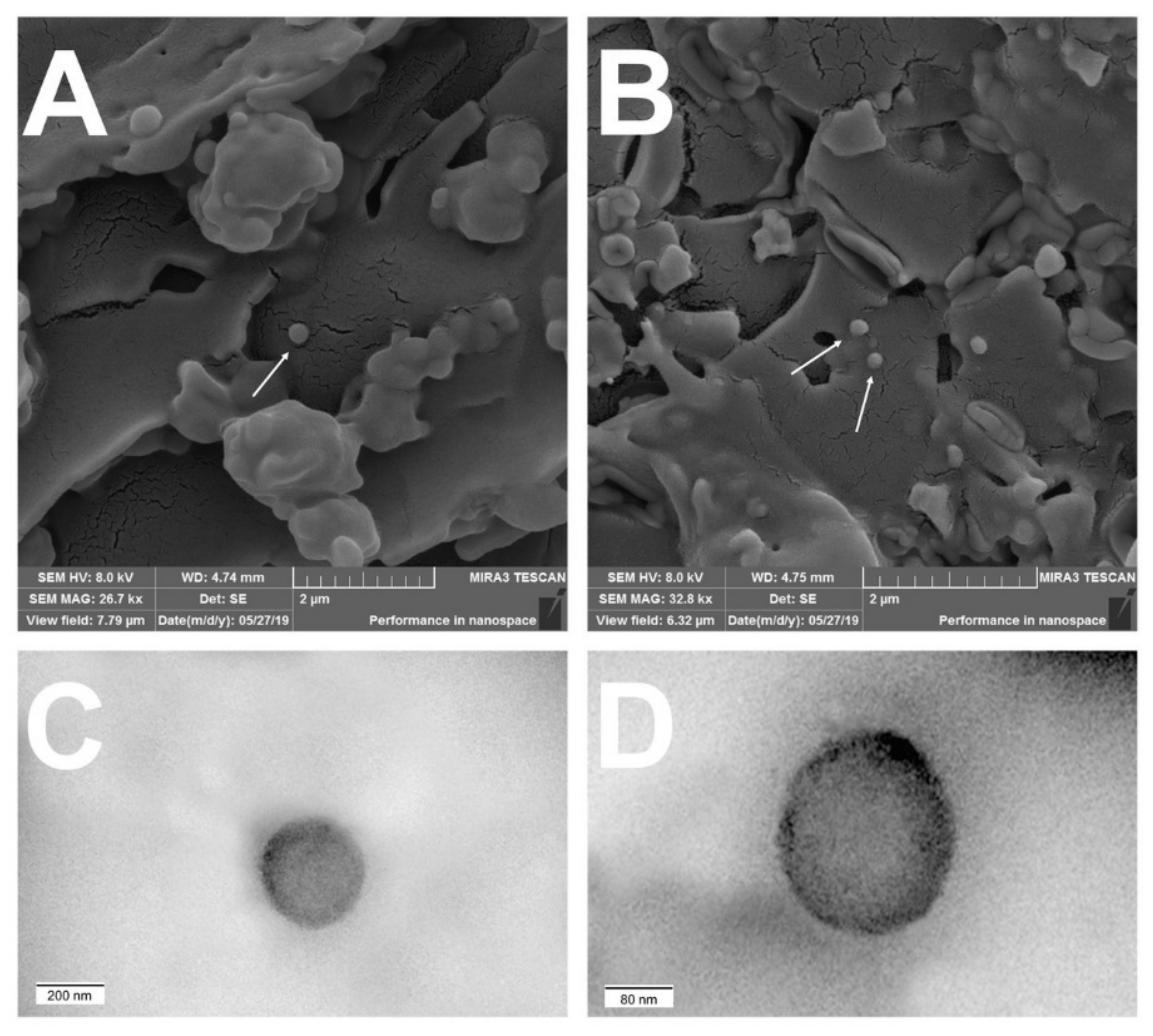 Pharmaceutics 13 02013 g002