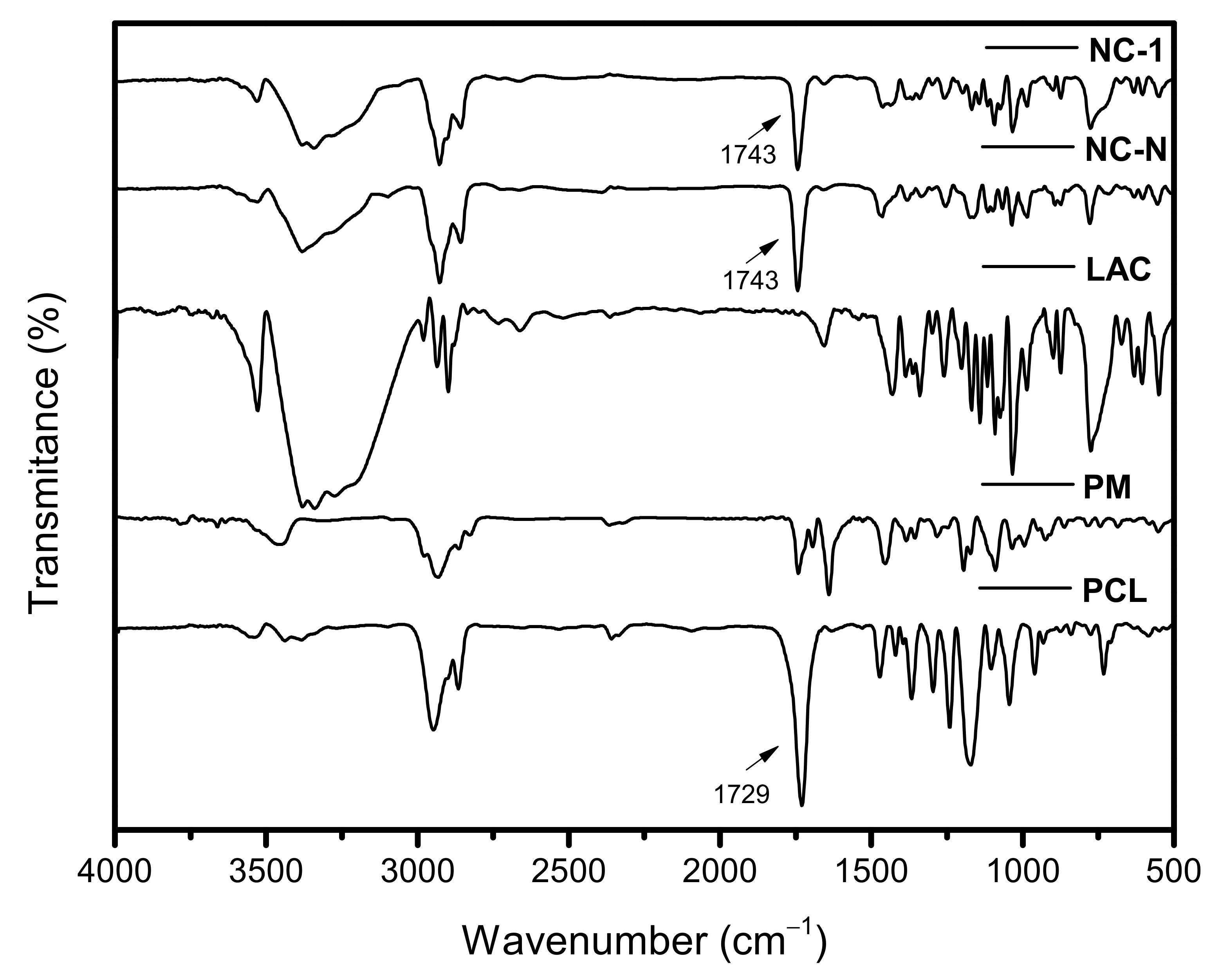 Pharmaceutics 13 02013 g005