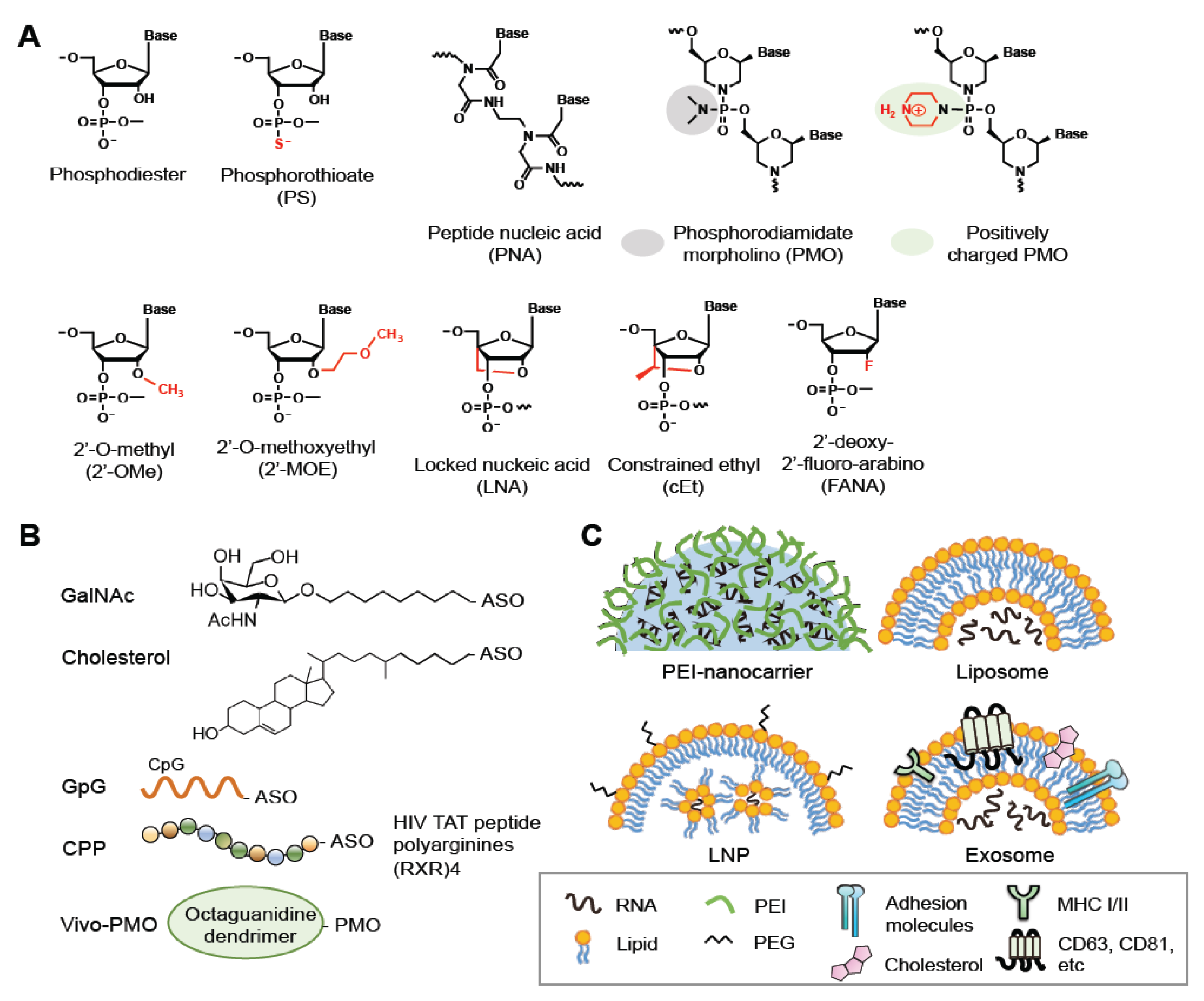 Pharmaceutics 13 02015 g002