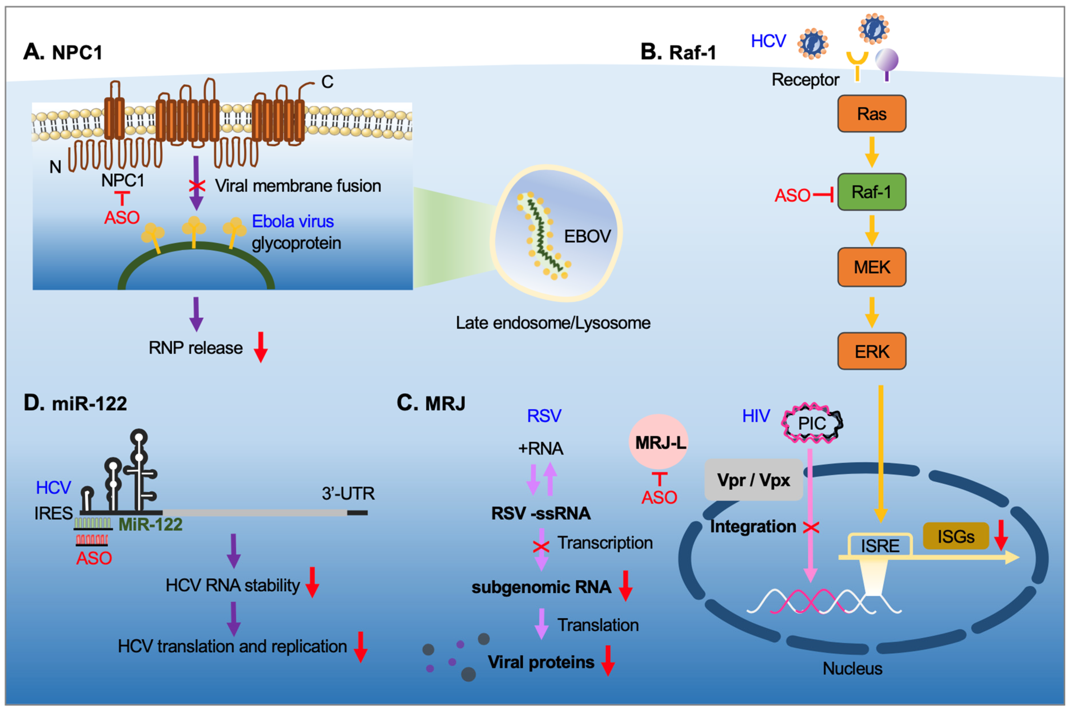 Pharmaceutics 13 02015 g004