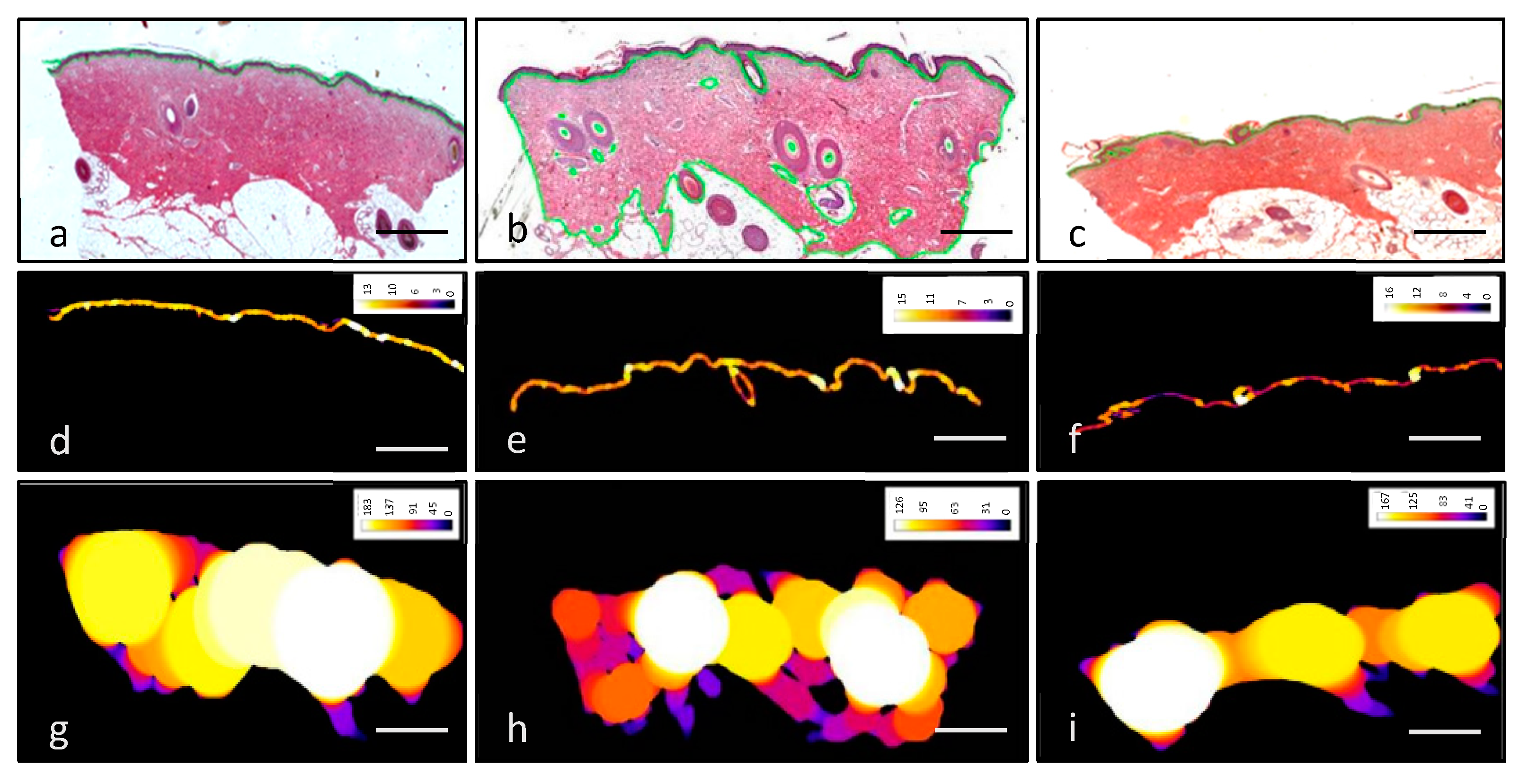Pharmaceutics 13 02016 g002