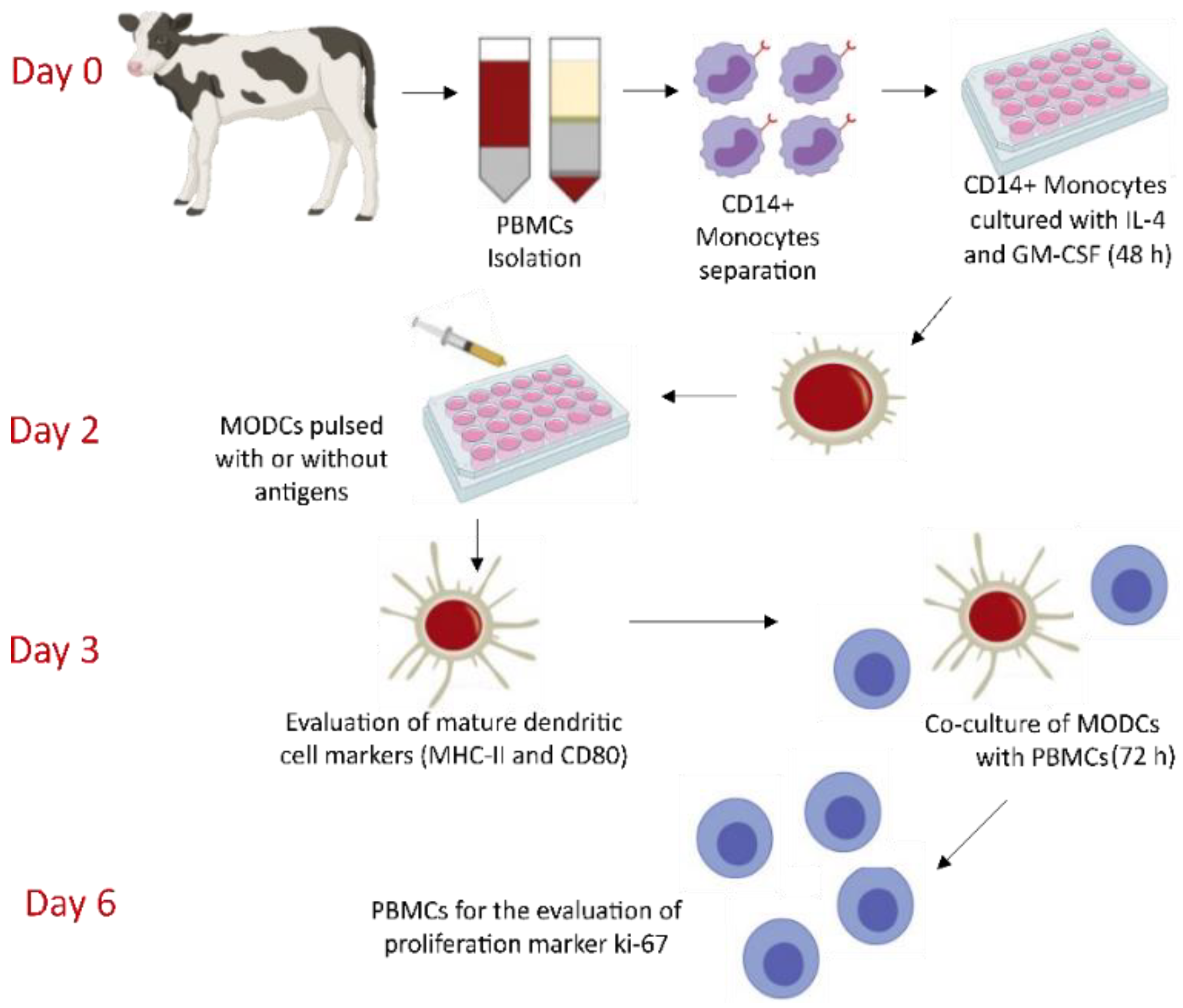 Pharmaceutics 13 02018 g004