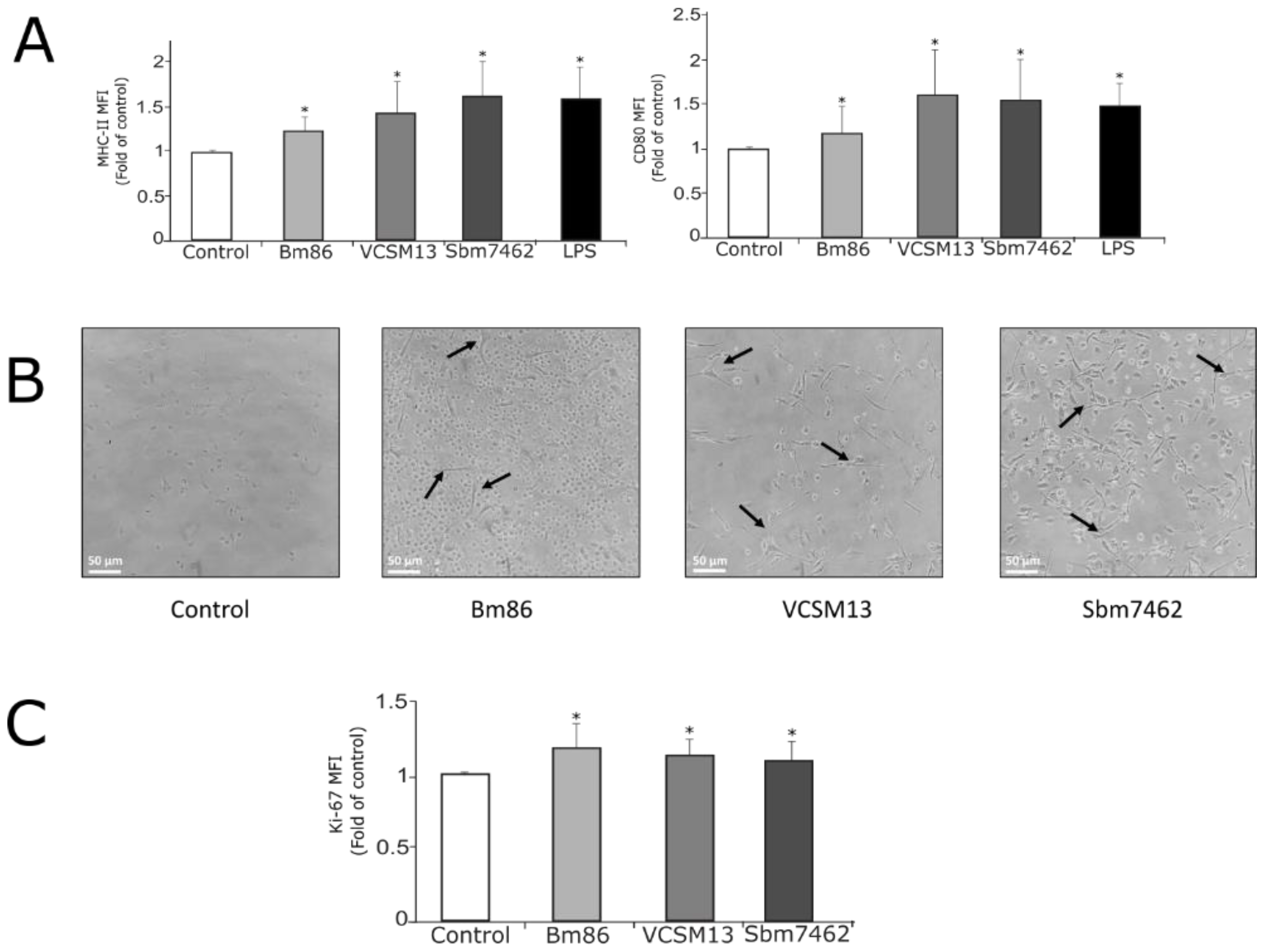 Pharmaceutics 13 02018 g005