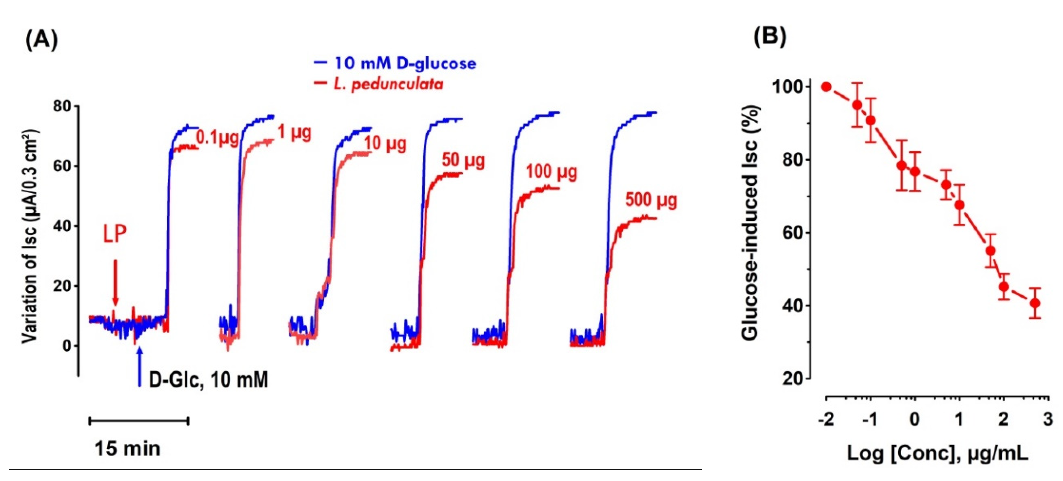 Pharmaceutics 13 02019 g006