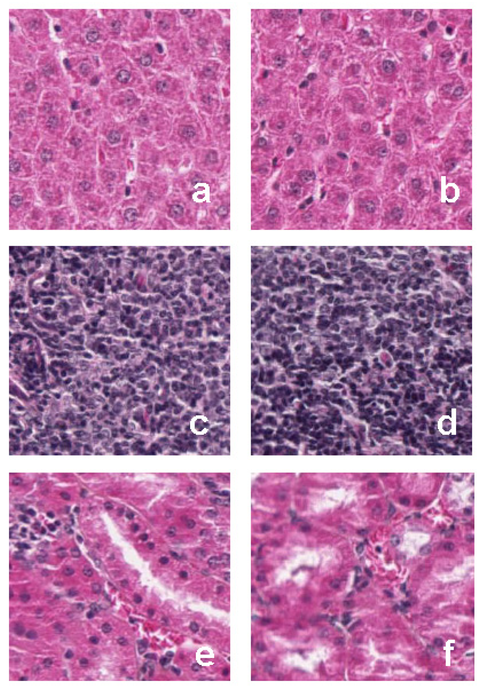 Pharmaceutics 13 02019 g009