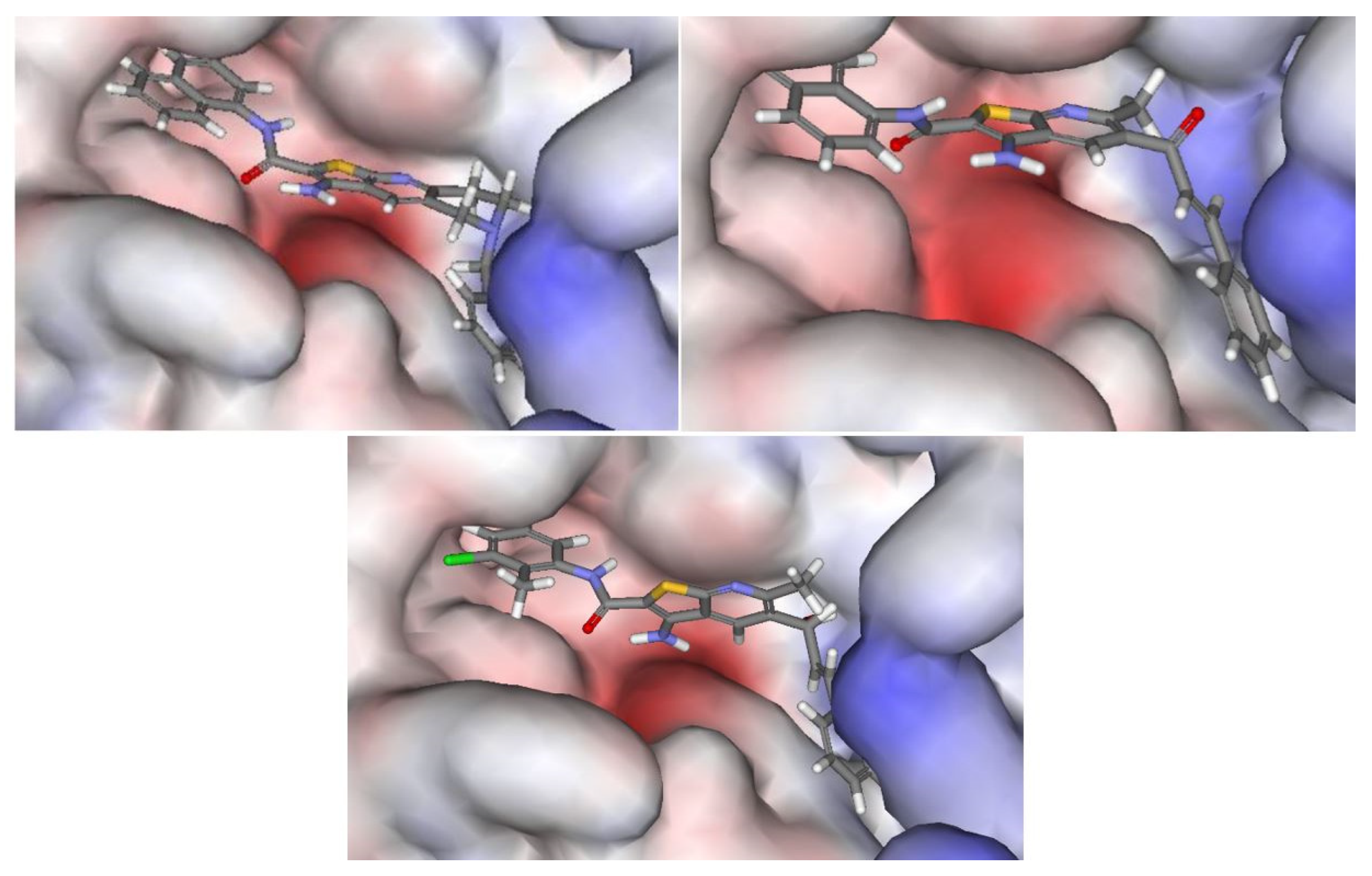 Pharmaceutics 13 02020 g003