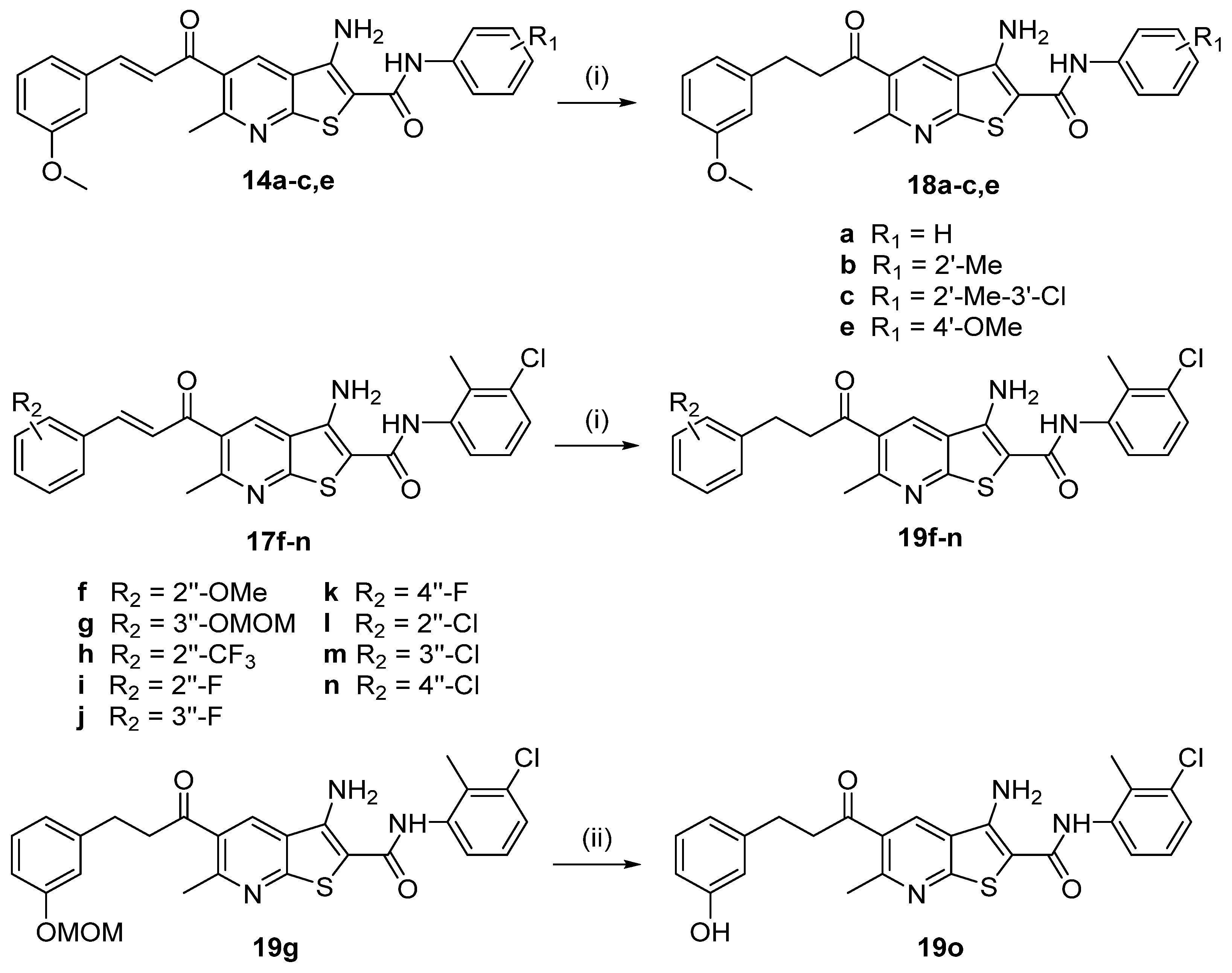 Pharmaceutics 13 02020 sch004
