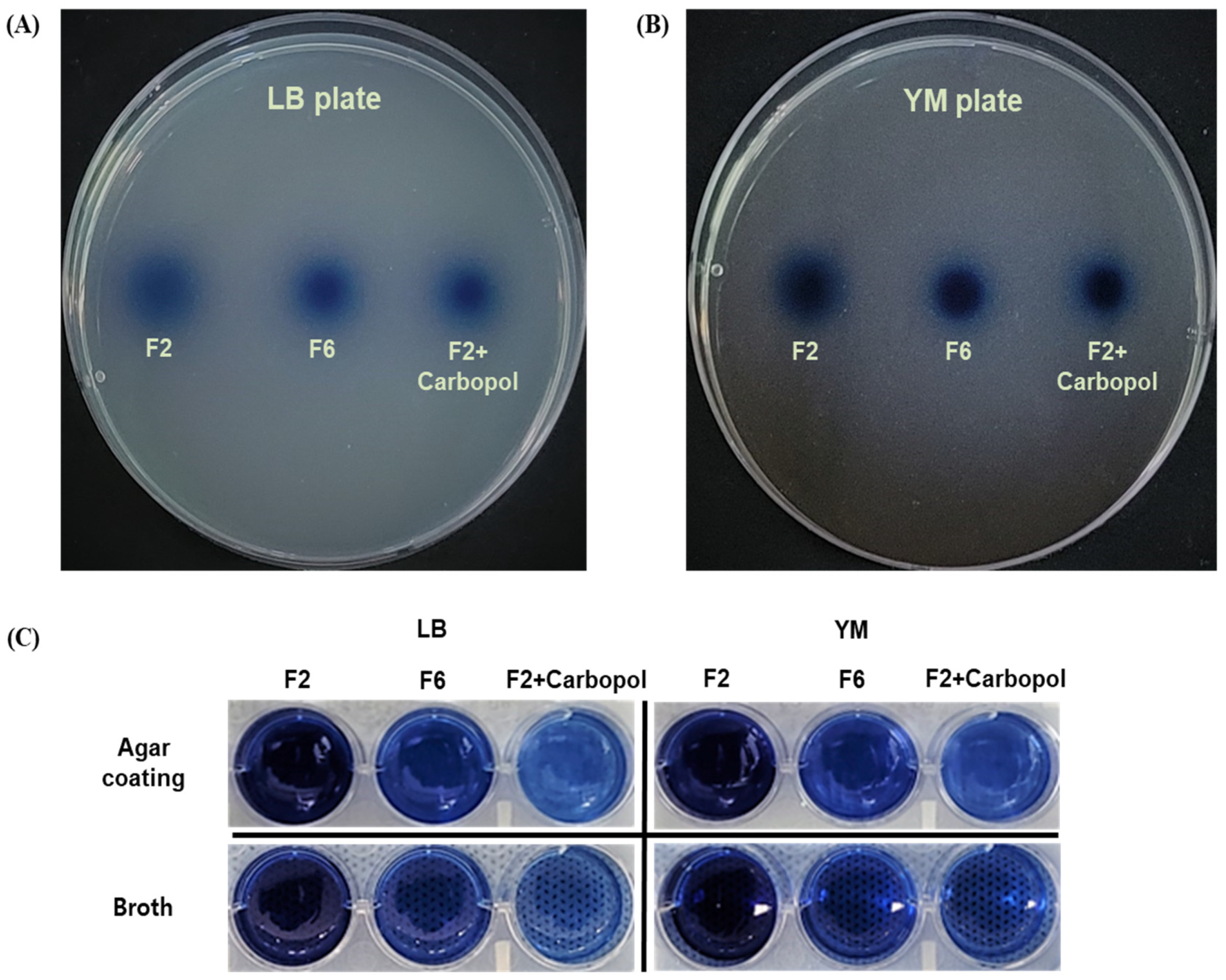Pharmaceutics 13 02021 g004