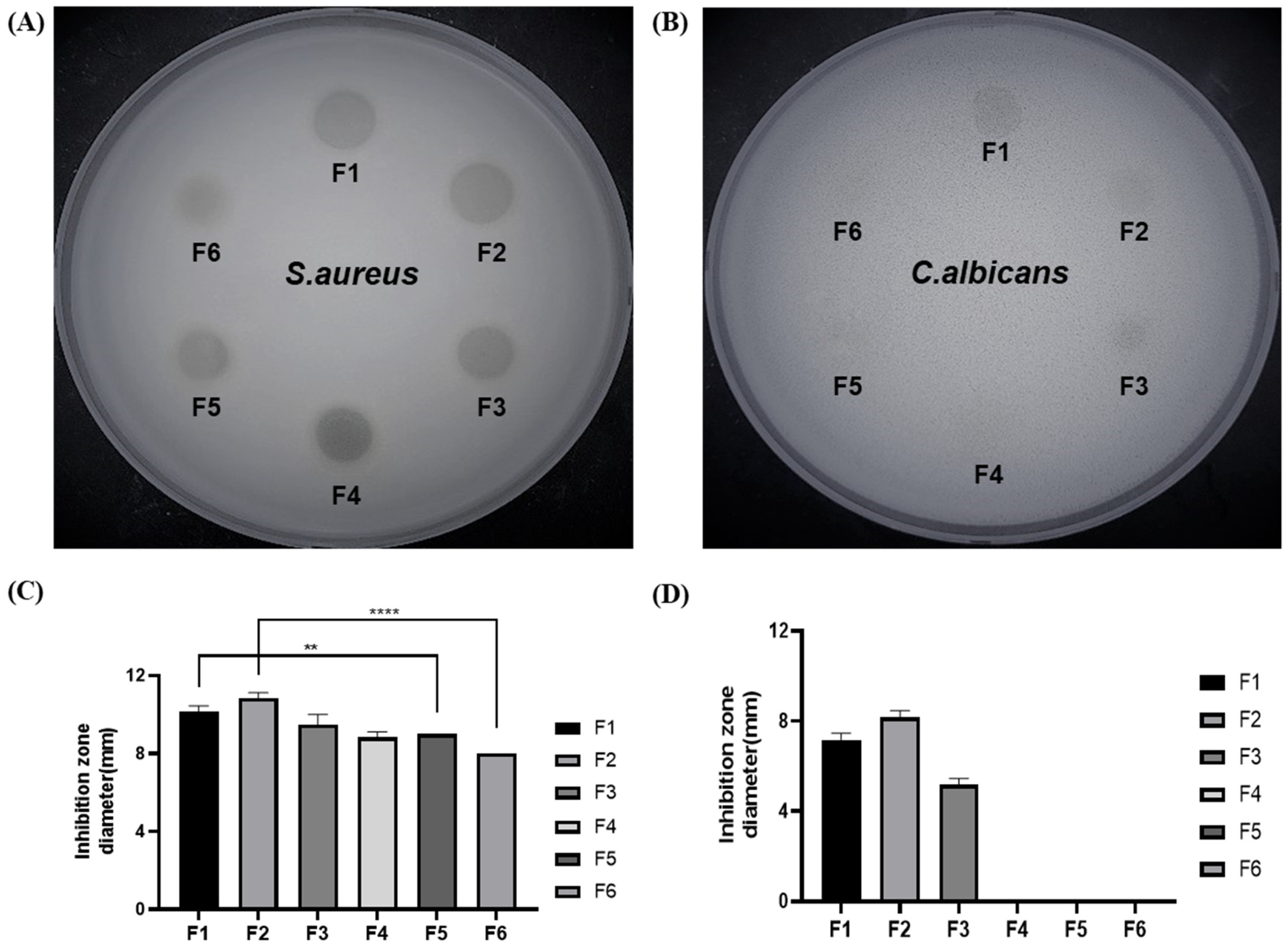 Pharmaceutics 13 02021 g005