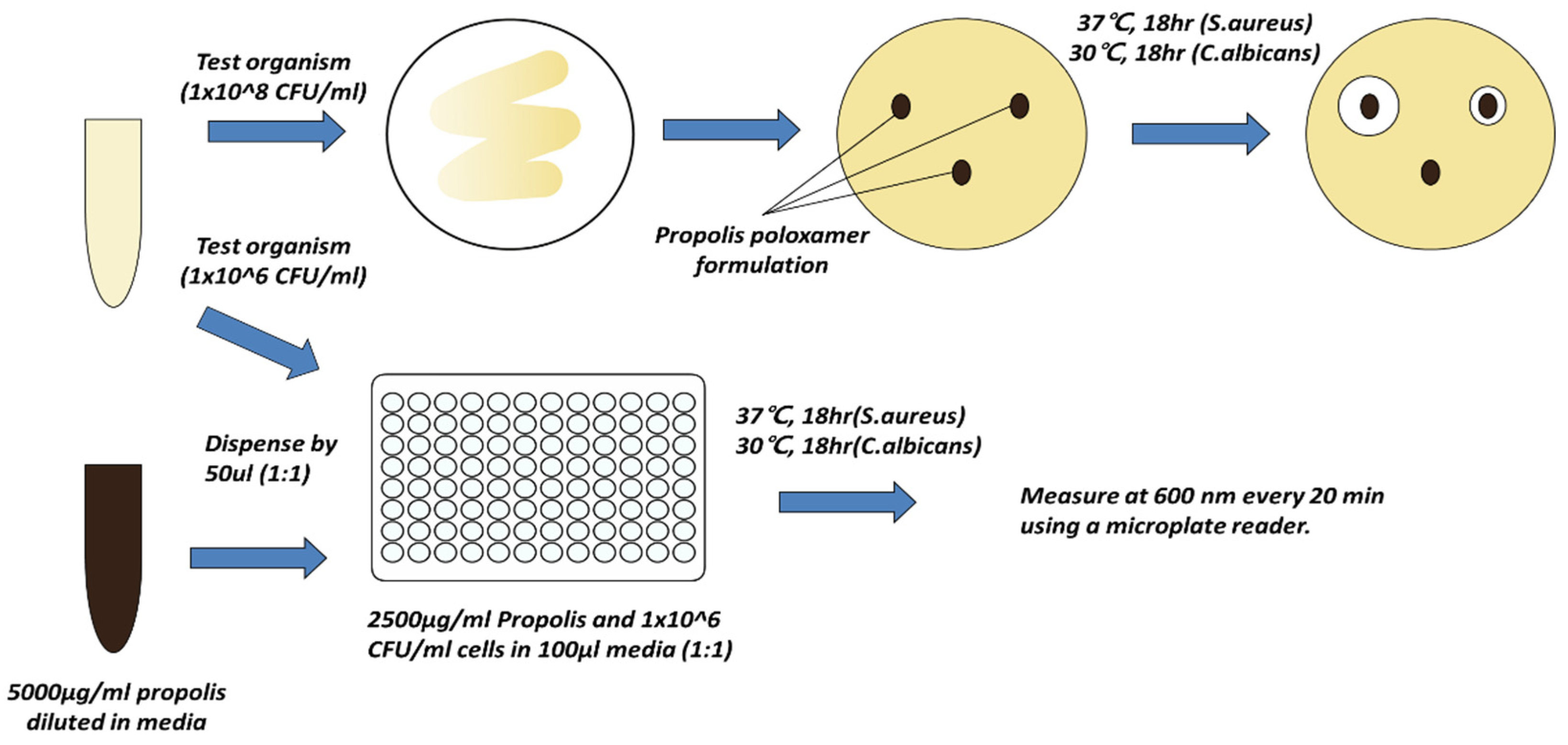 Pharmaceutics 13 02021 sch001