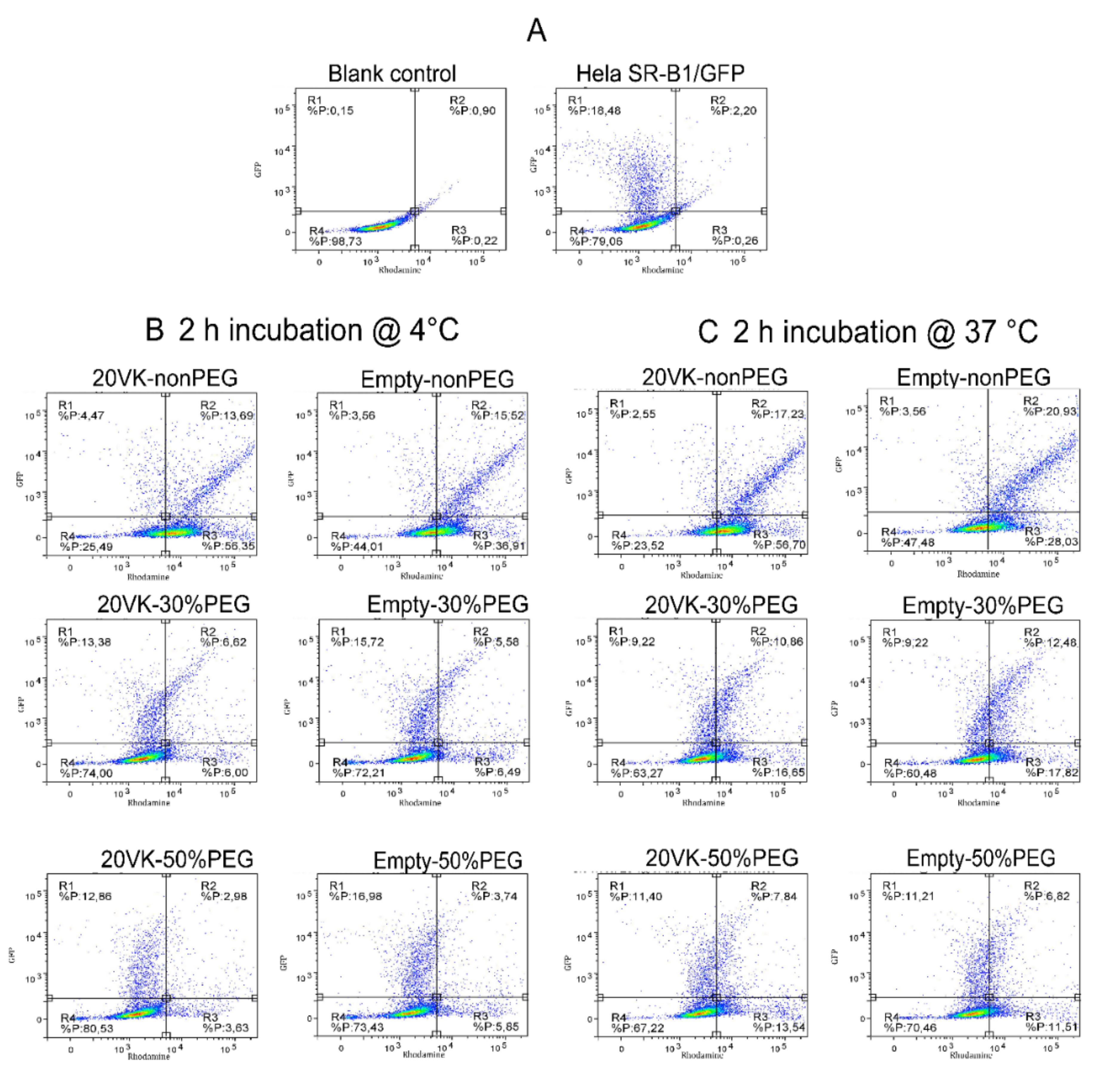 Pharmaceutics 13 02022 g004a