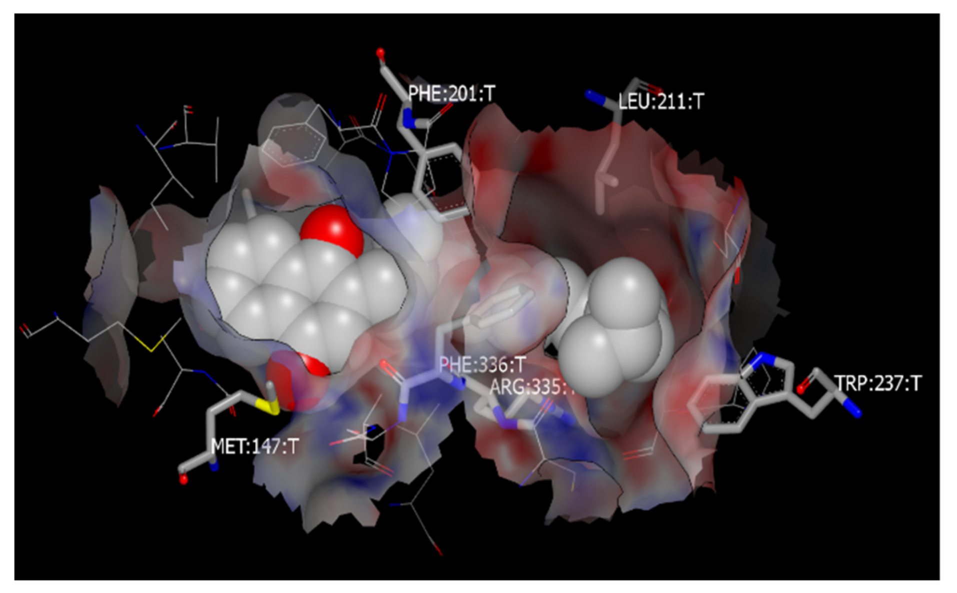 Pharmaceutics 13 02022 g006