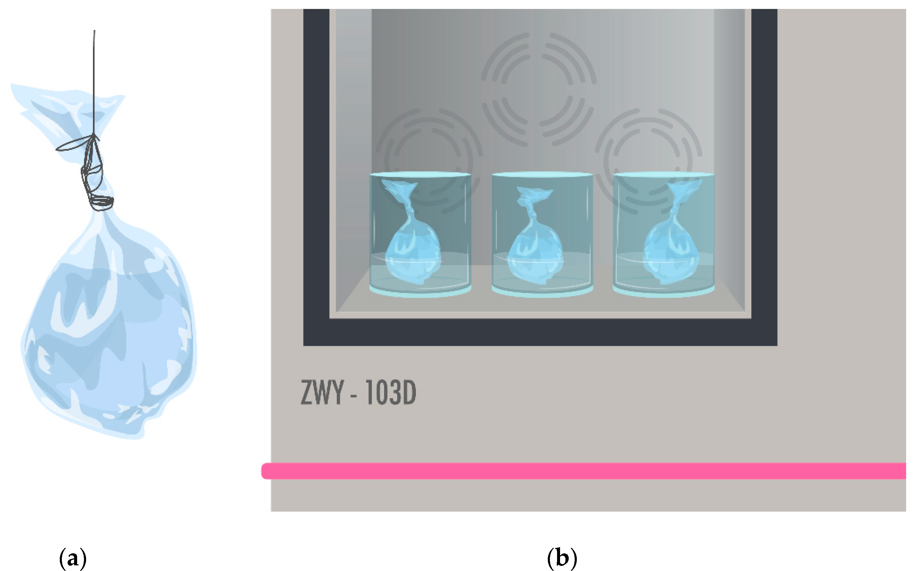 Pharmaceutics 13 02023 g001