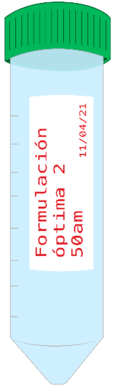 Pharmaceutics 13 02023 g009