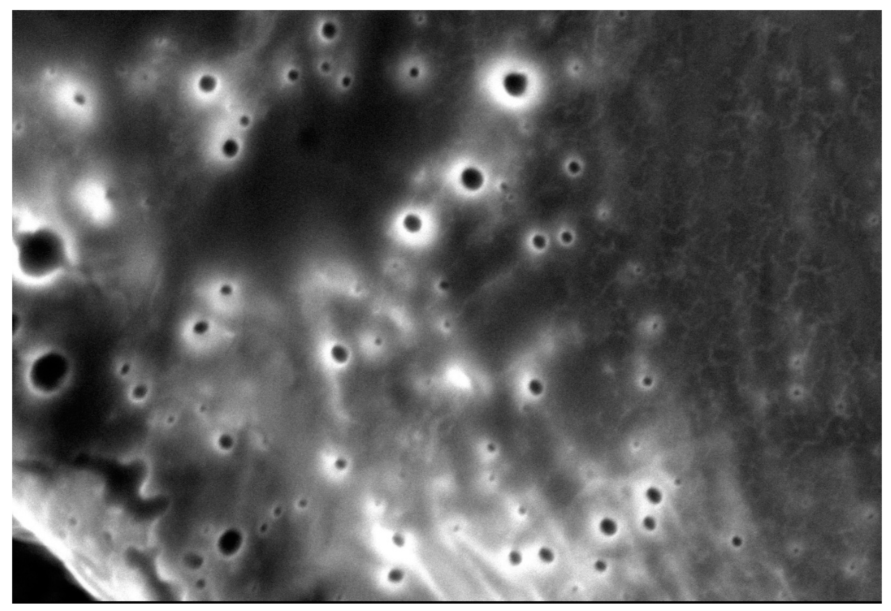 Pharmaceutics 13 02023 g011