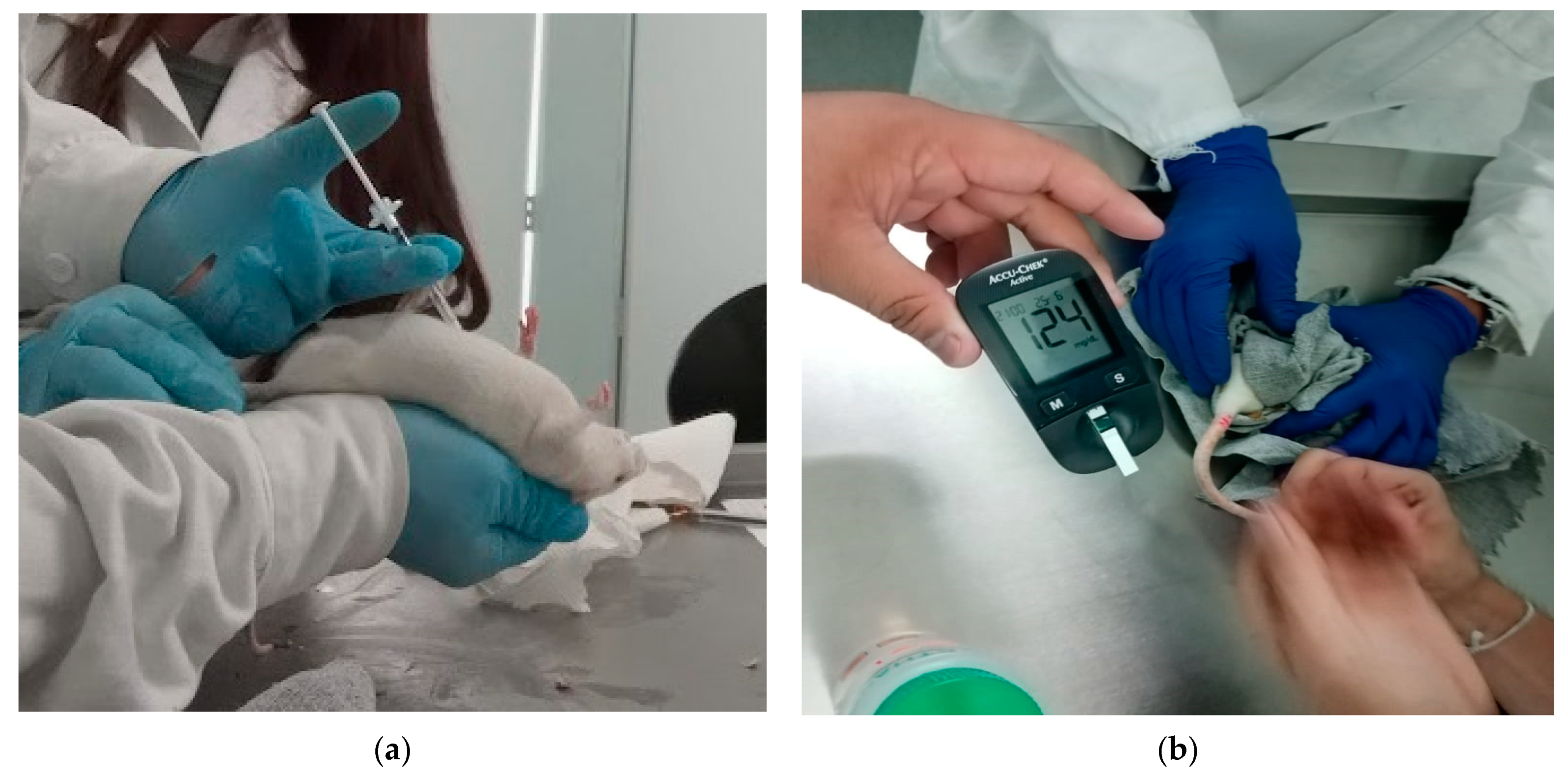Pharmaceutics 13 02023 g014