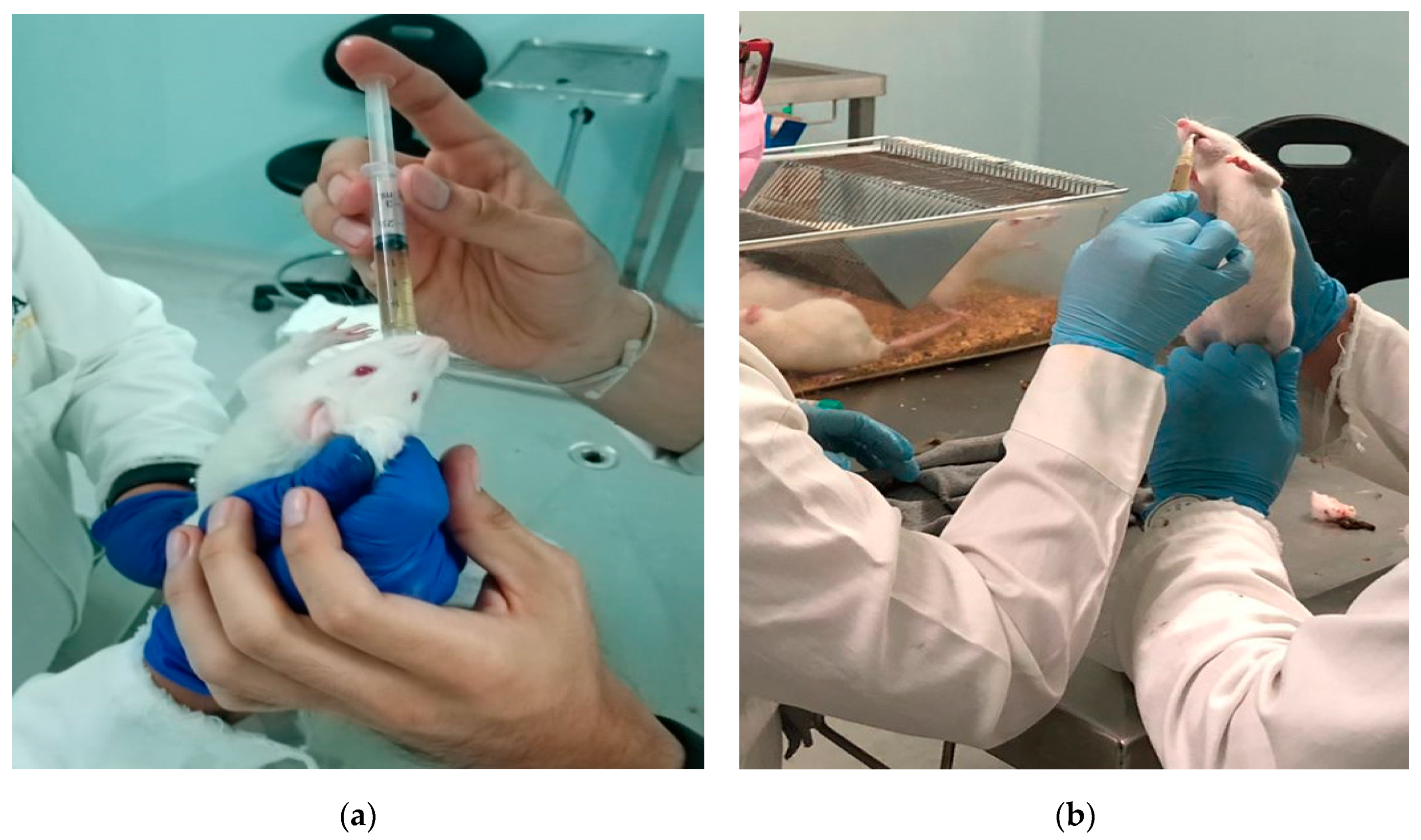 Pharmaceutics 13 02023 g016