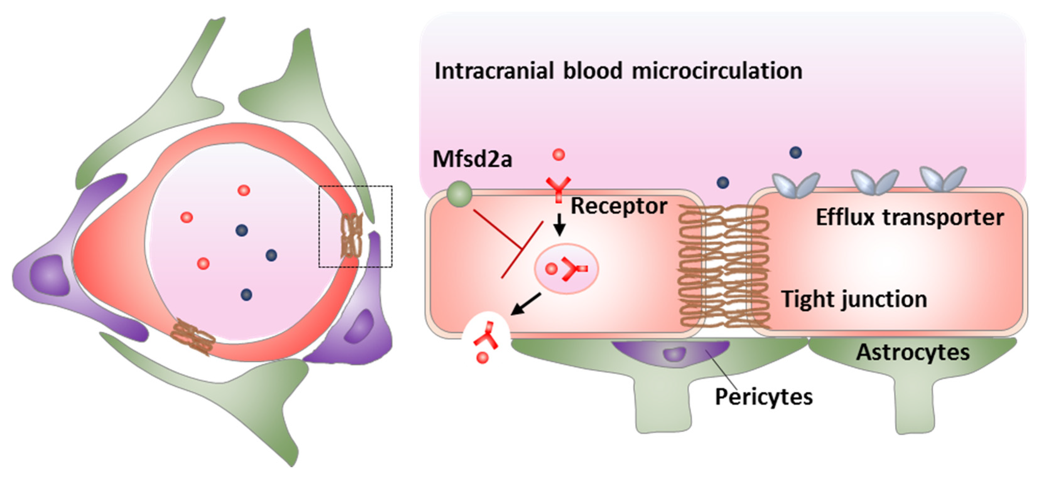 Pharmaceutics 13 02024 g001 Pharmaceutics 13 02024 g001