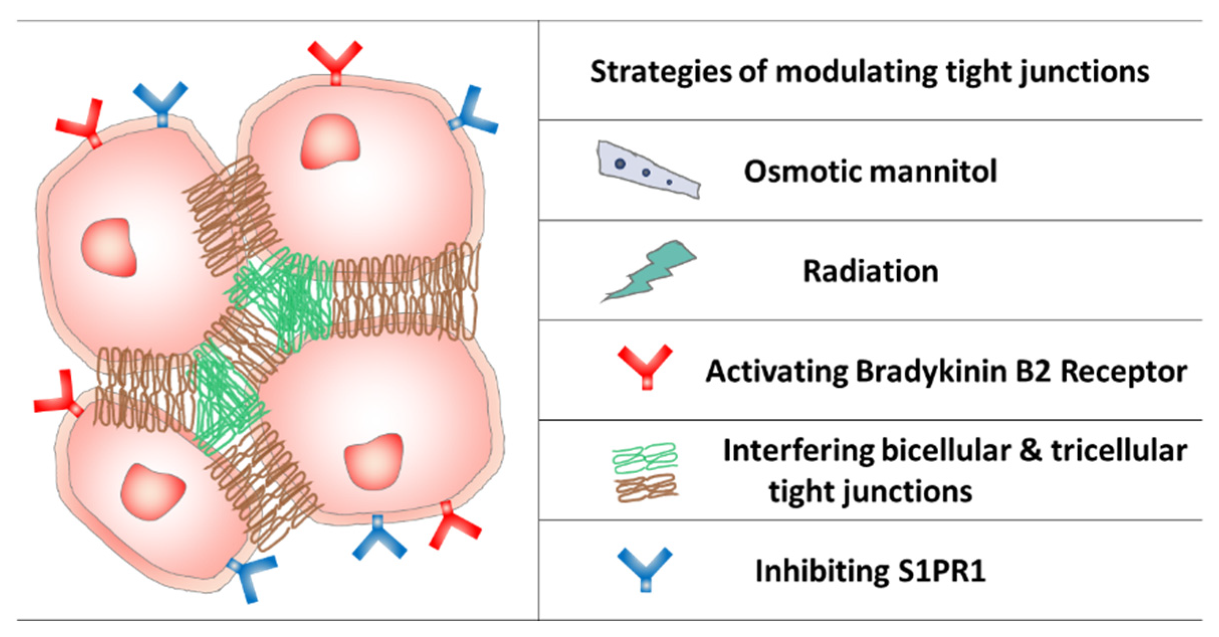 Pharmaceutics 13 02024 g002 Pharmaceutics 13 02024 g002