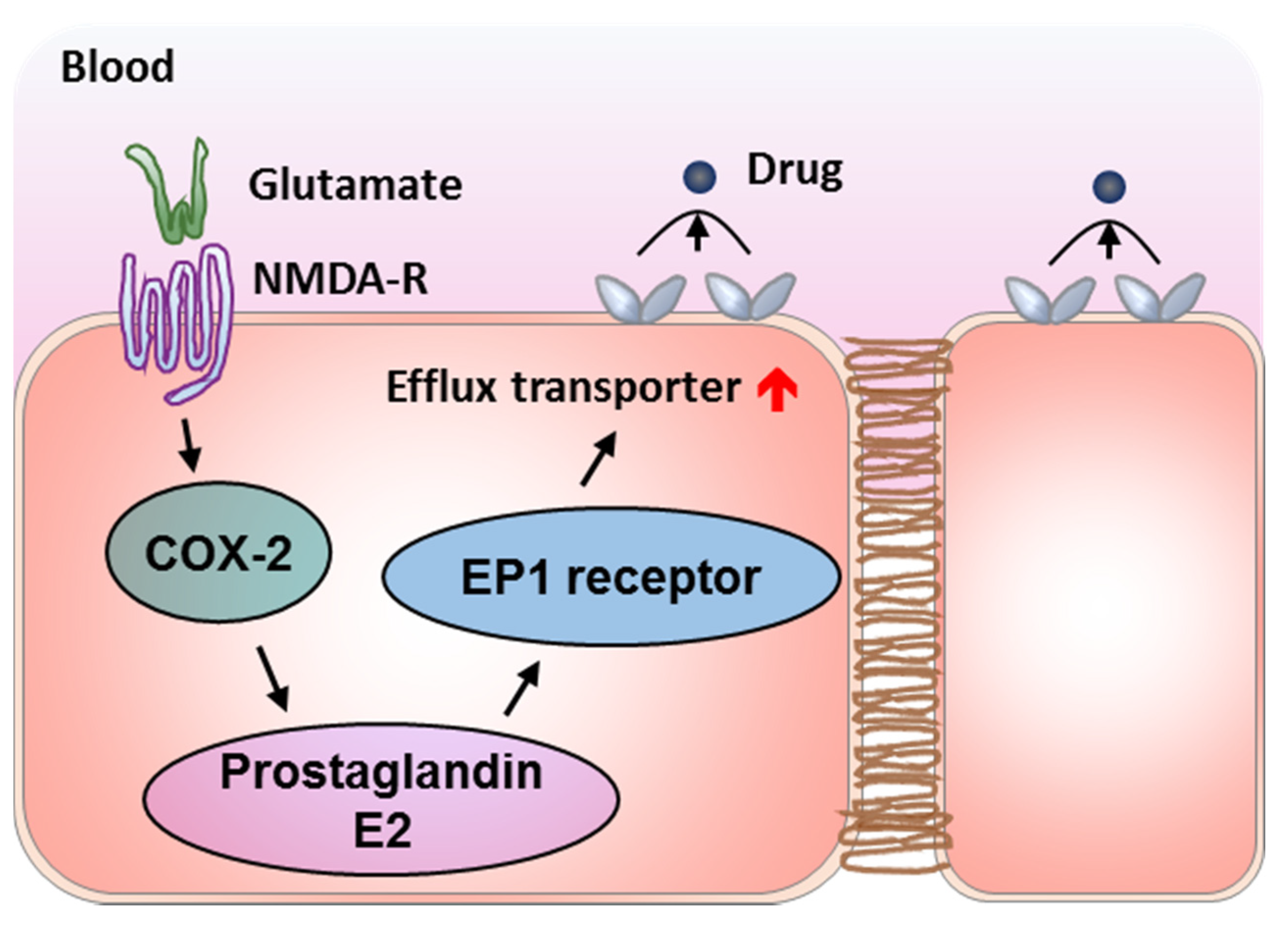 Pharmaceutics 13 02024 g004 Pharmaceutics 13 02024 g004