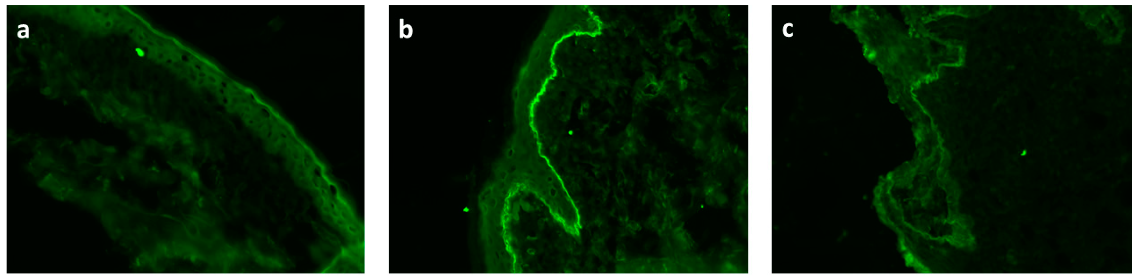 Pharmaceutics 13 02029 g002