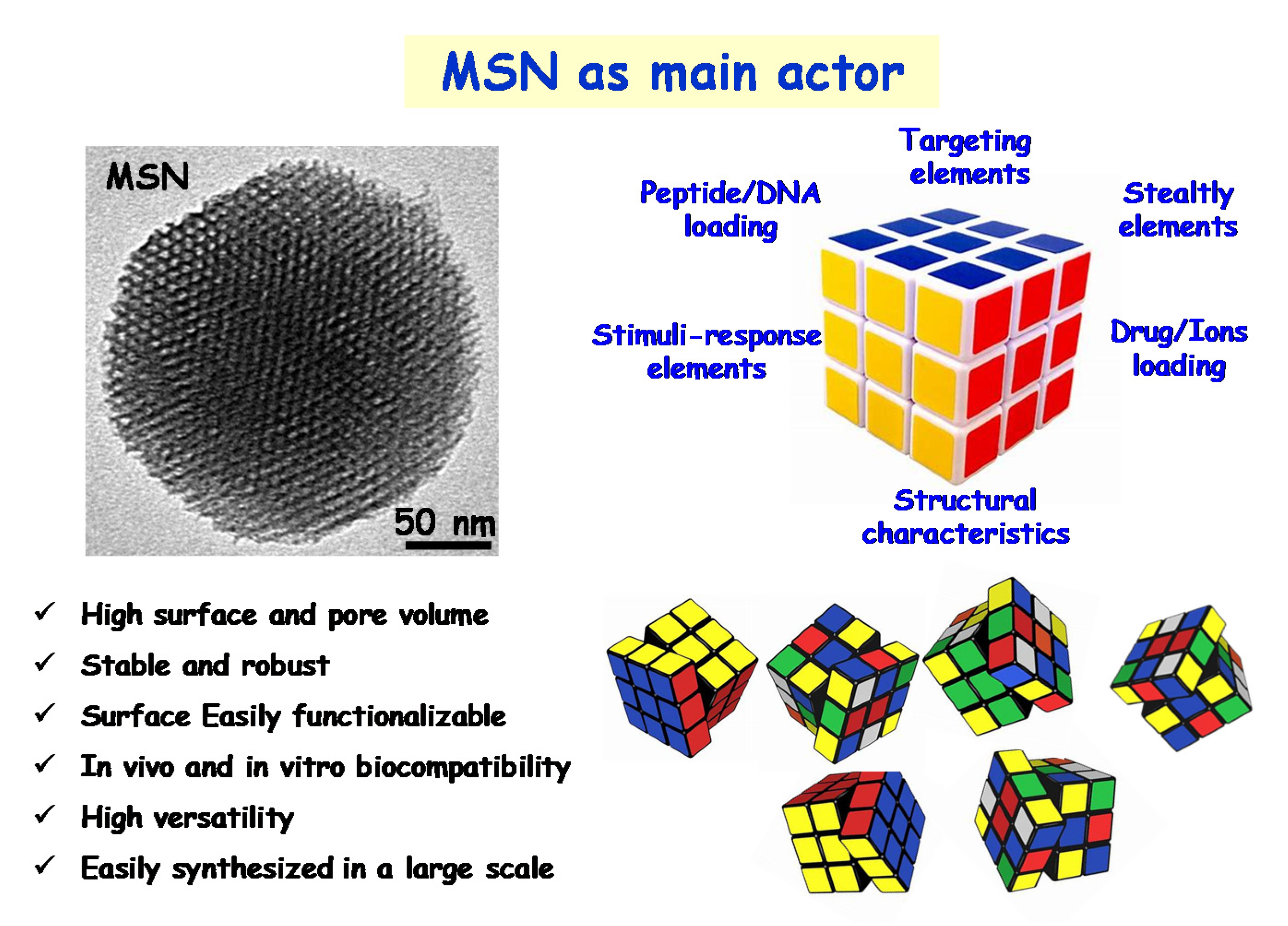Pharmaceutics 13 02033 g005