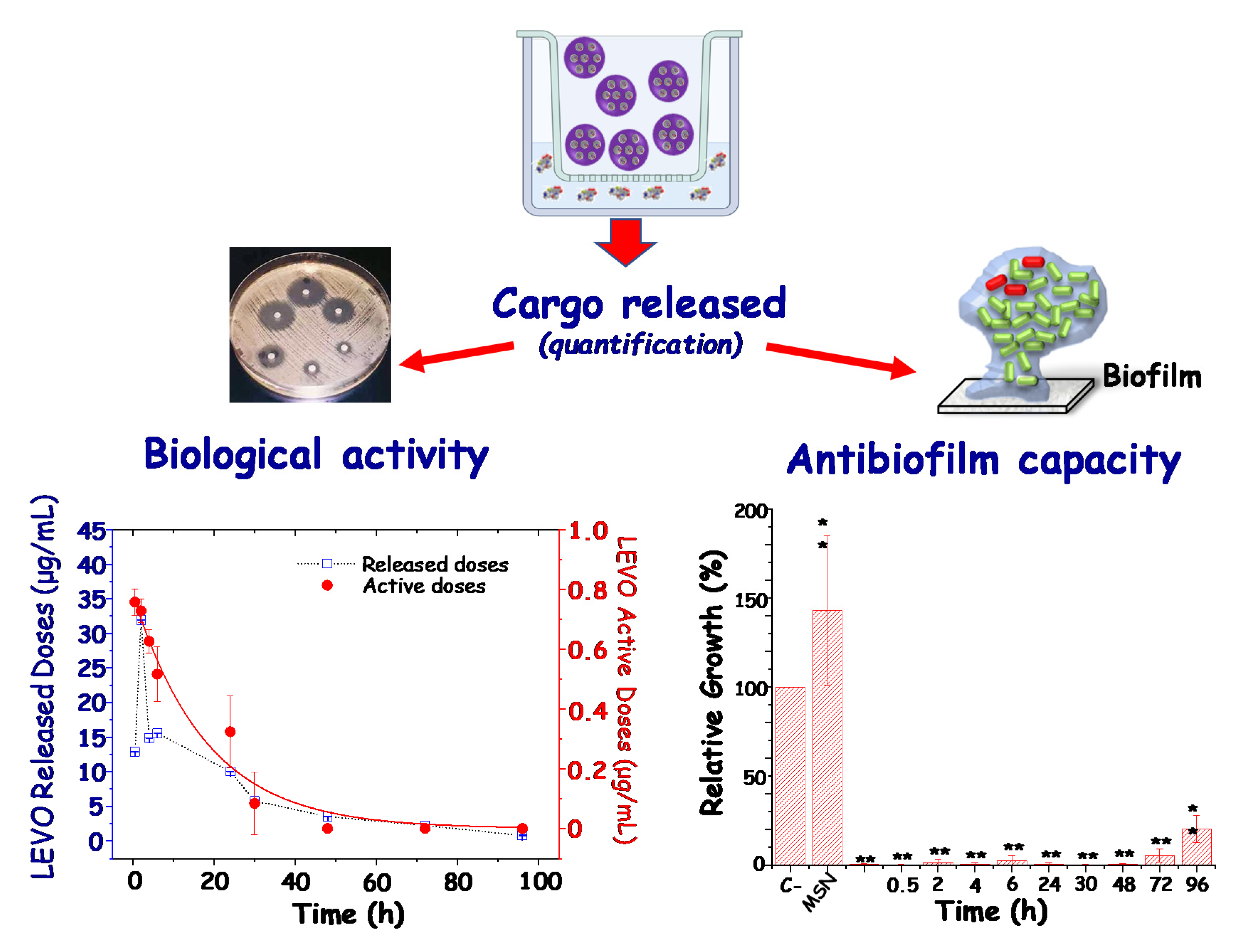 Pharmaceutics 13 02033 g006