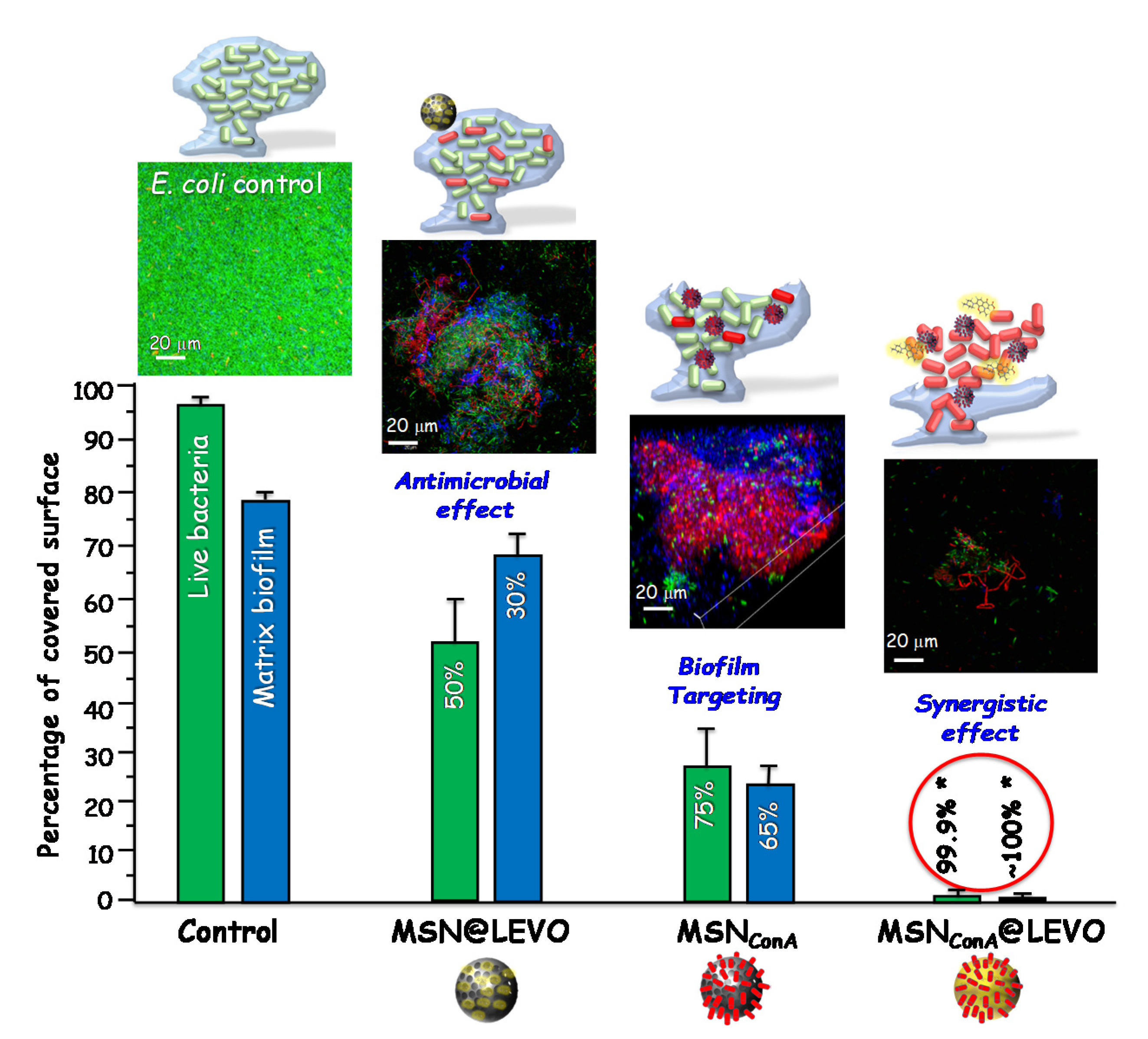Pharmaceutics 13 02033 g008