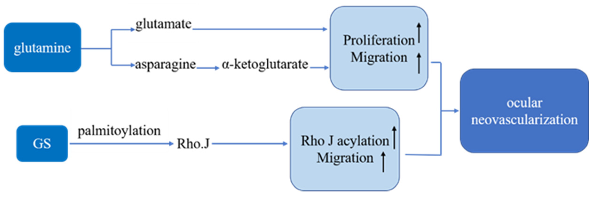 Pharmaceutics 13 02035 g001