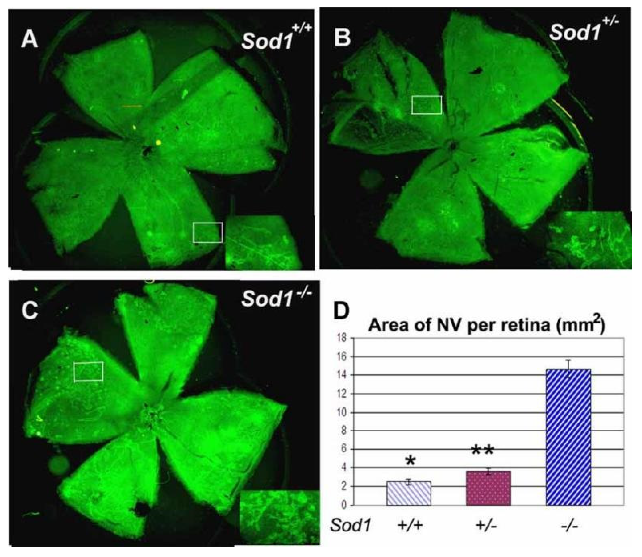 Pharmaceutics 13 02035 g002
