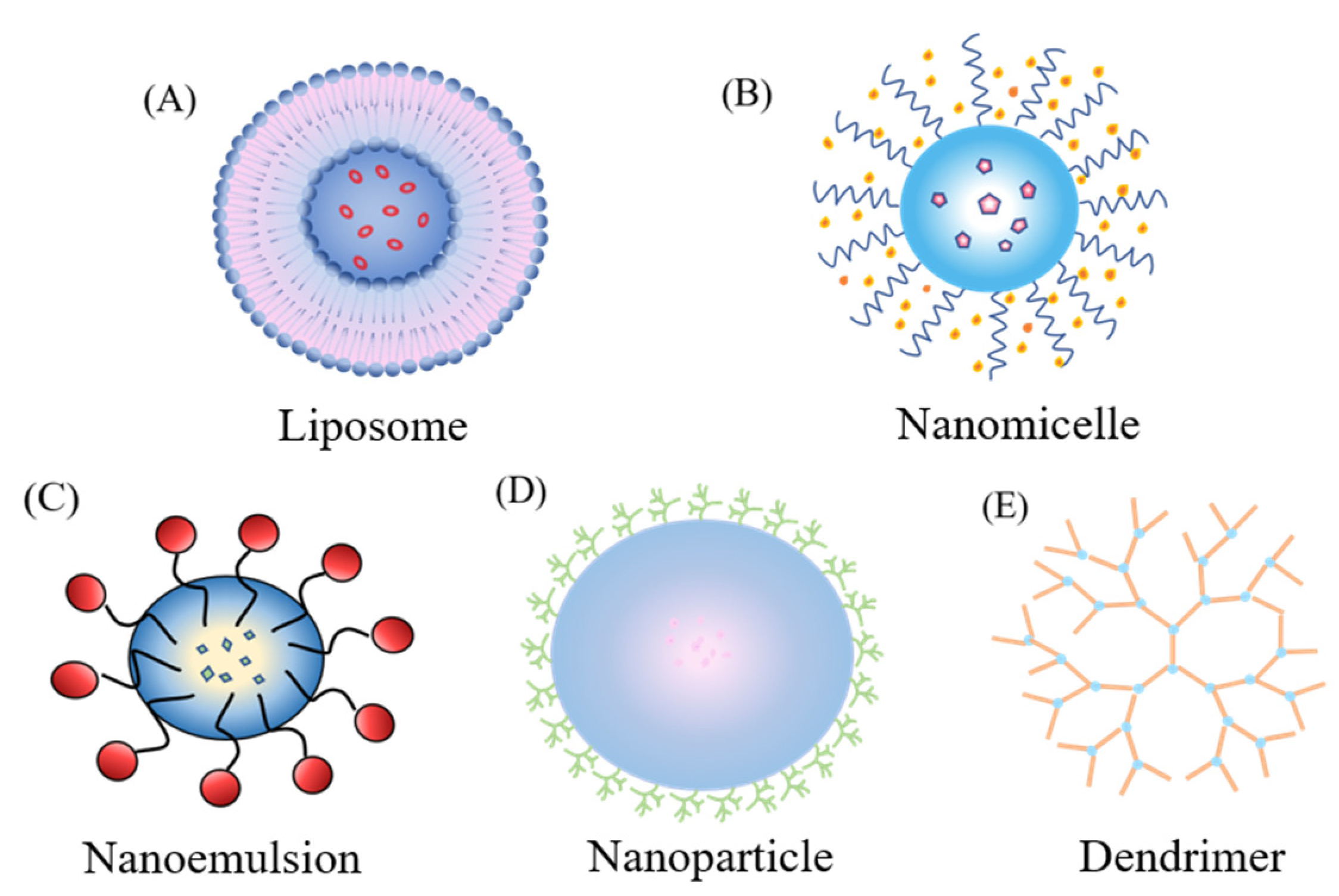 Pharmaceutics 13 02035 g004