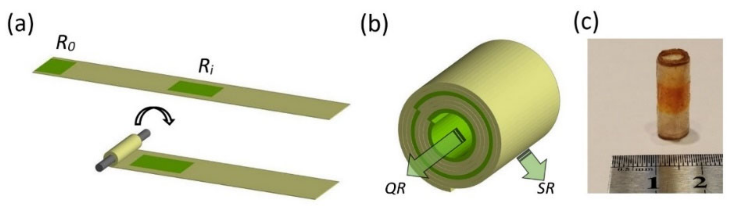 Pharmaceutics 13 02040 g001
