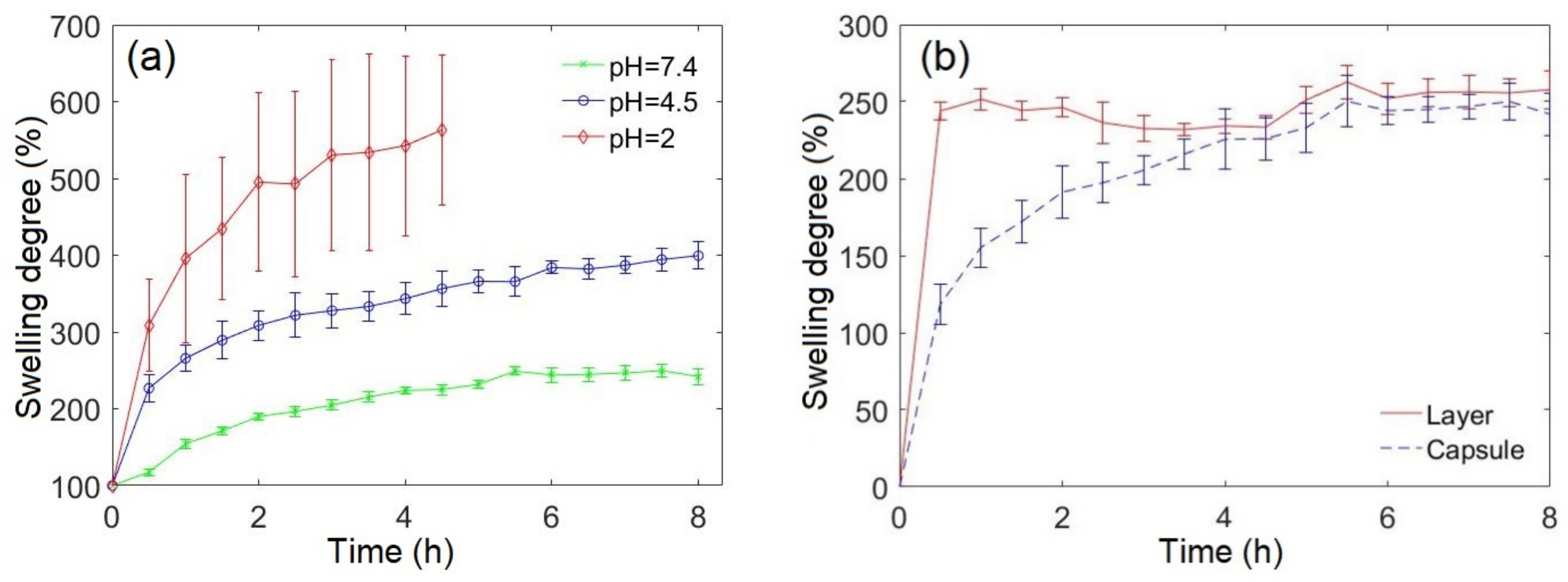 Pharmaceutics 13 02040 g002