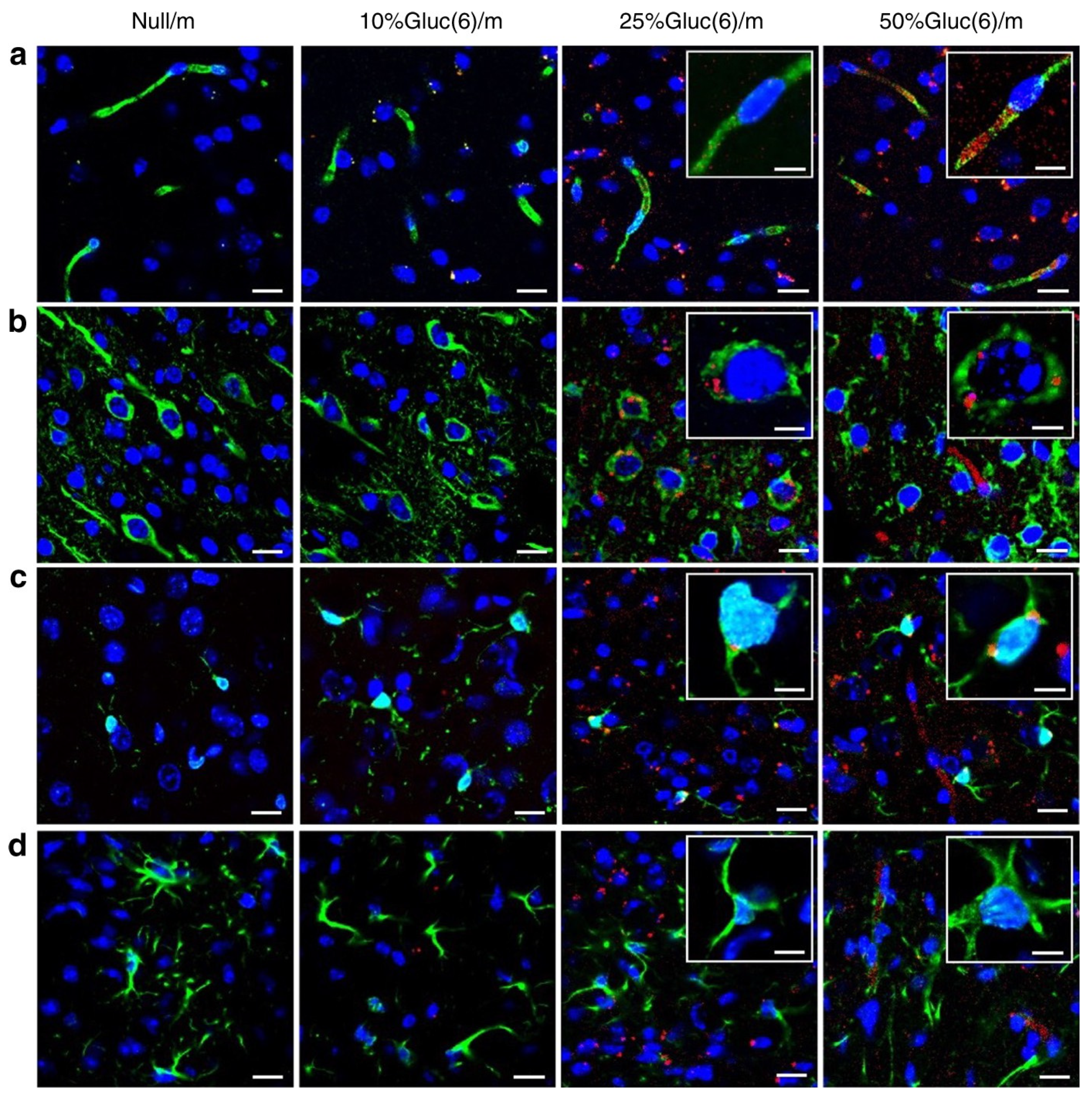 Pharmaceutics 13 02045 g005