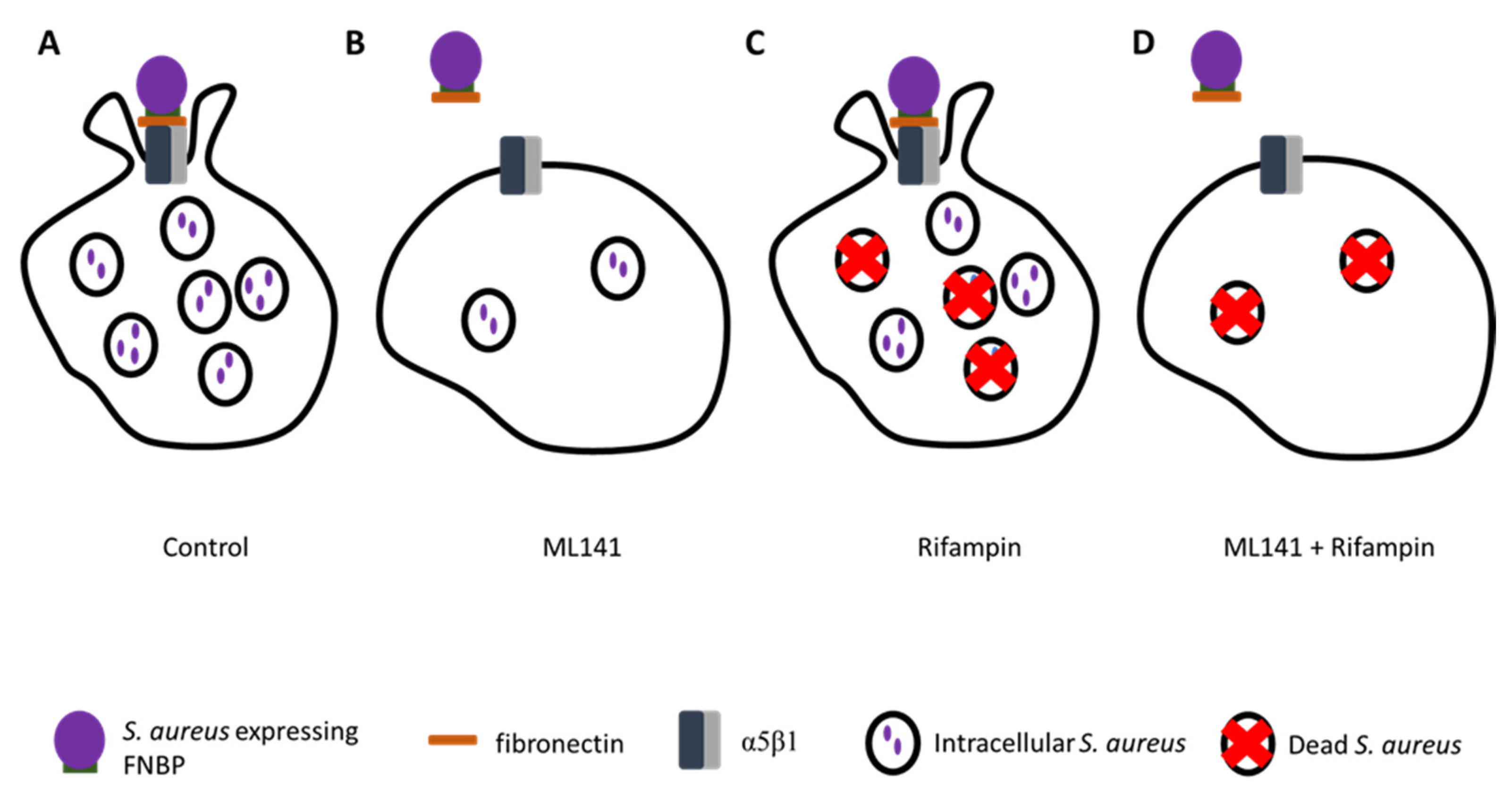 Pharmaceutics 13 02047 g005