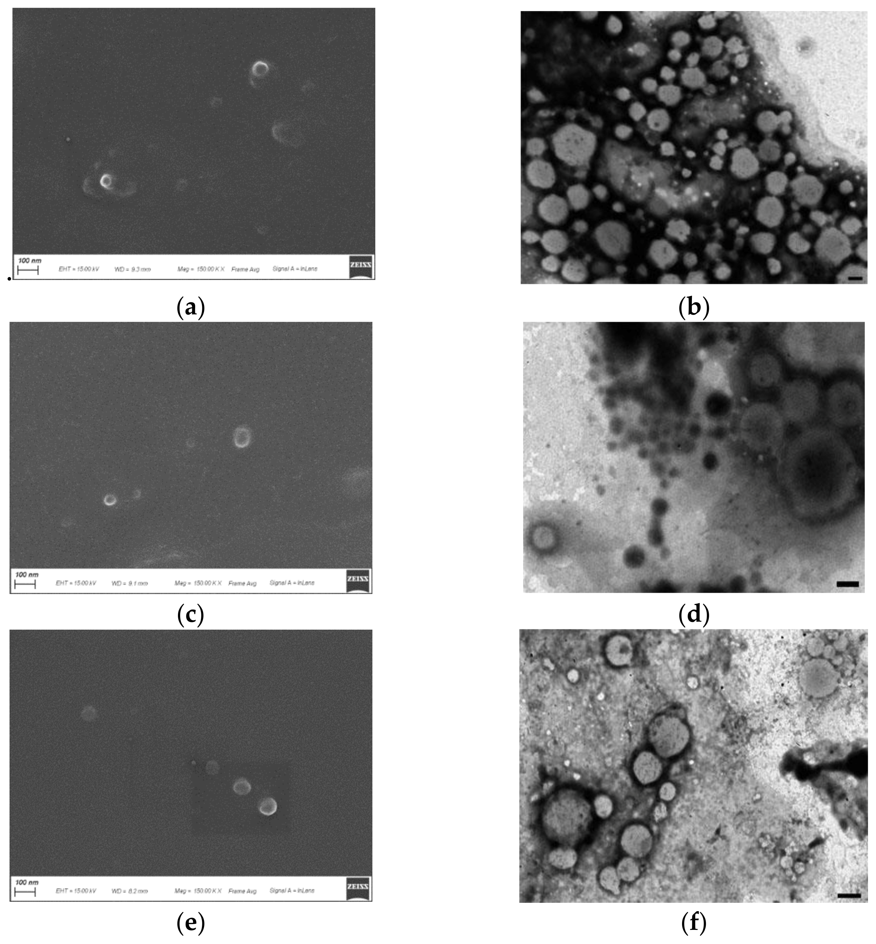 Pharmaceutics 13 02048 g005