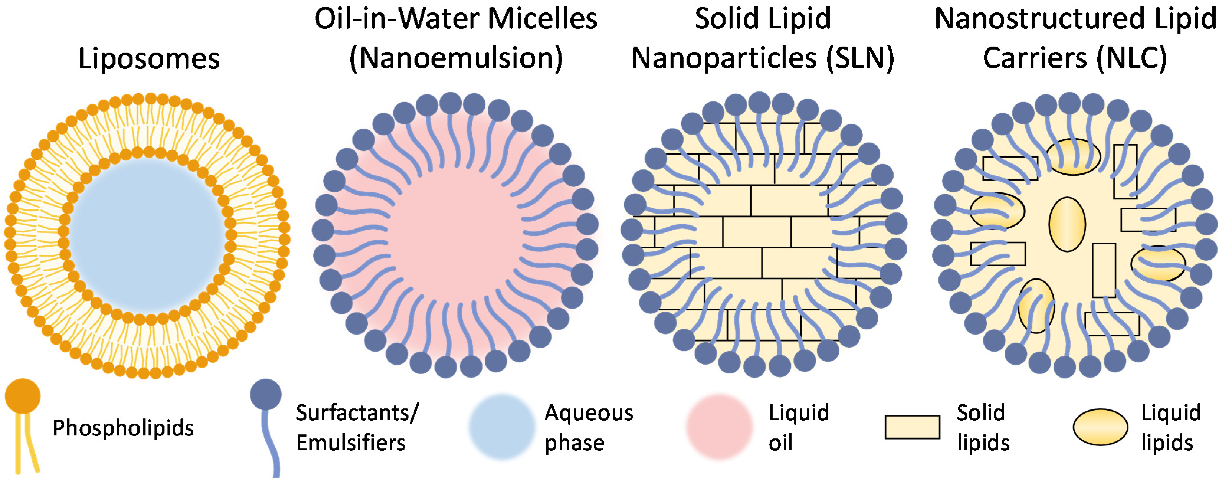 Pharmaceutics 13 02049 g003