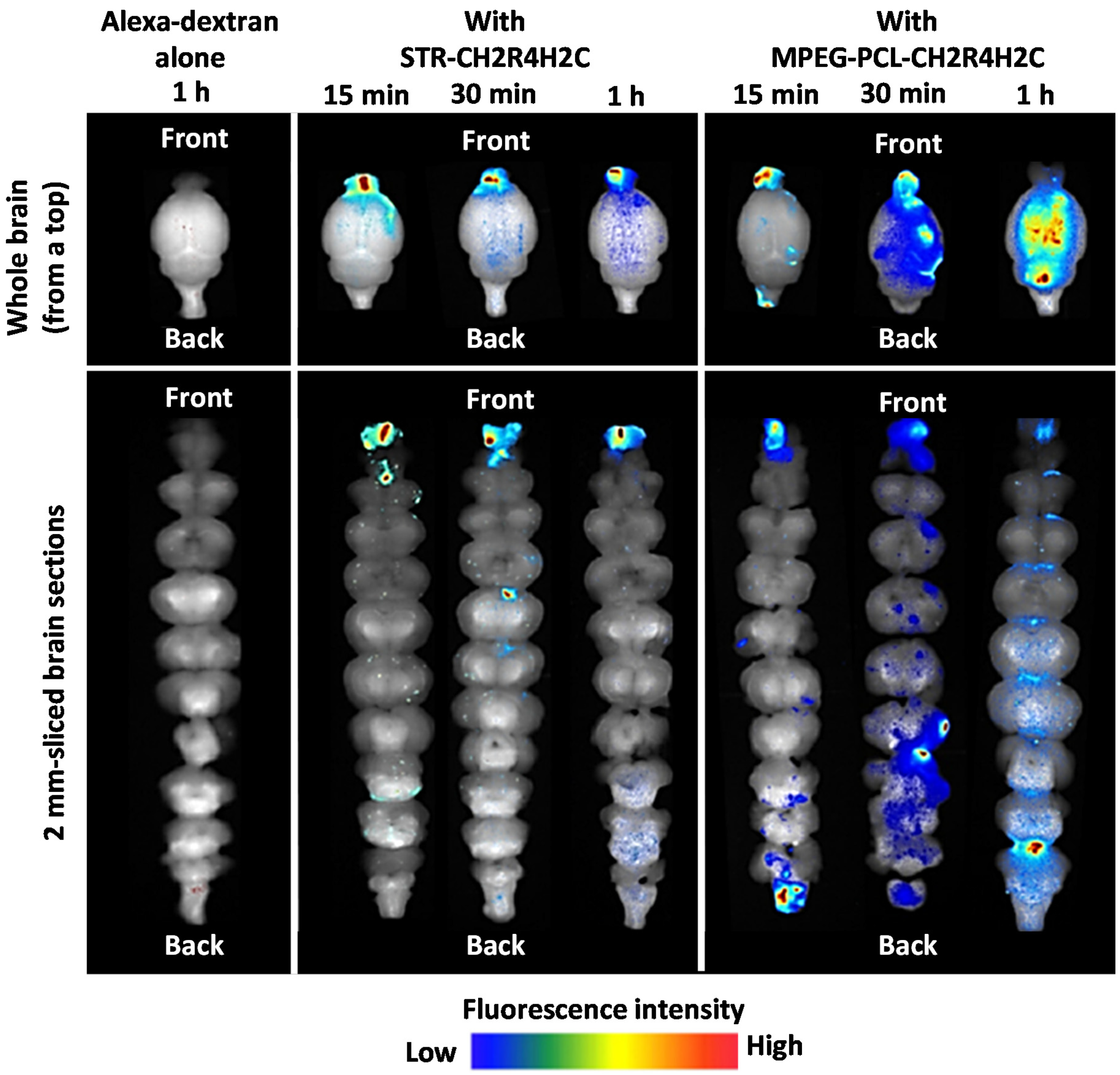 Pharmaceutics 13 02049 g007